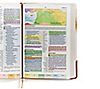 CSB Rainbow Study Bible with Color Coded Verses, 4 of 7