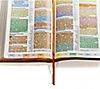 CSB Rainbow Study Bible with Color Coded Verses, 7 of 7