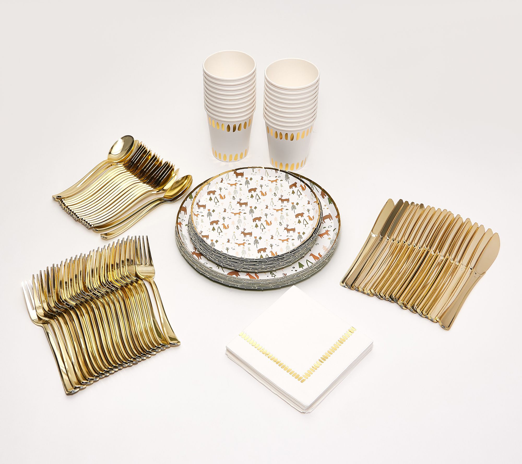 Coterie Seasonal Service for 20 Disposable Dinnerware Set