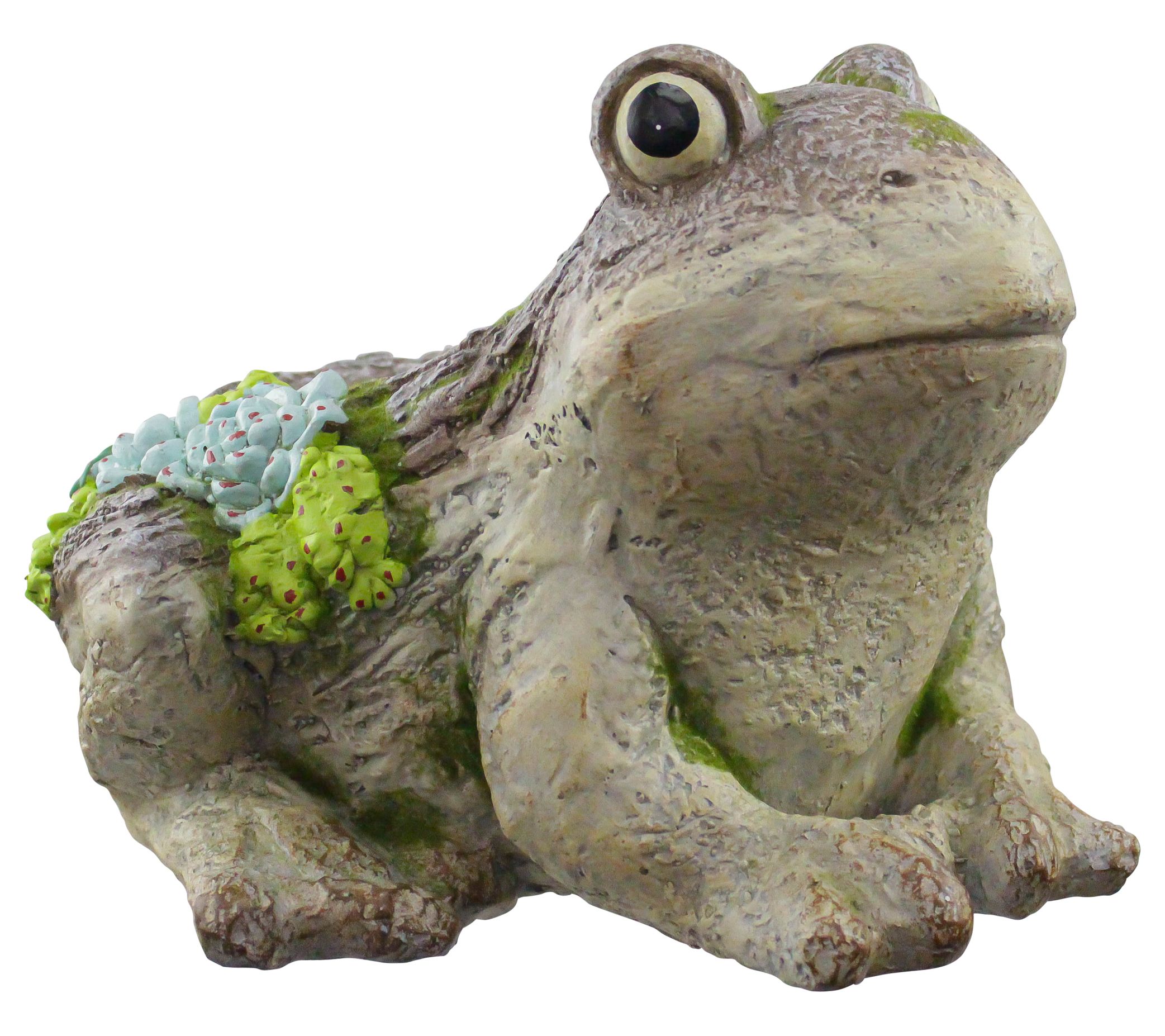 RCS Gifts Planter Frog Moss Accents 
