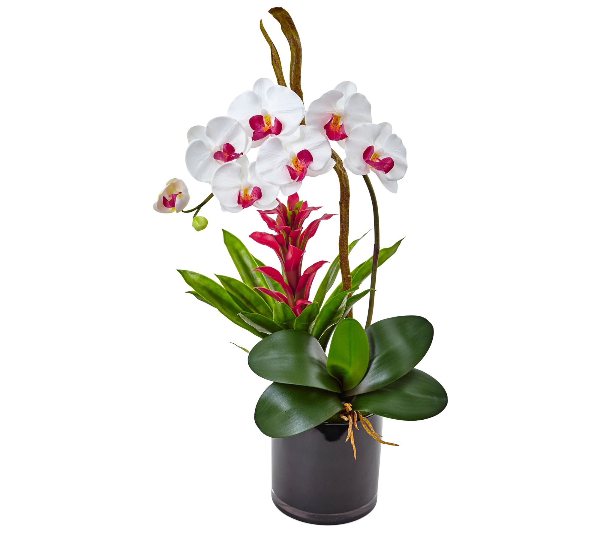 Orchid and Bromeliad Arrangement by Nearly Natural