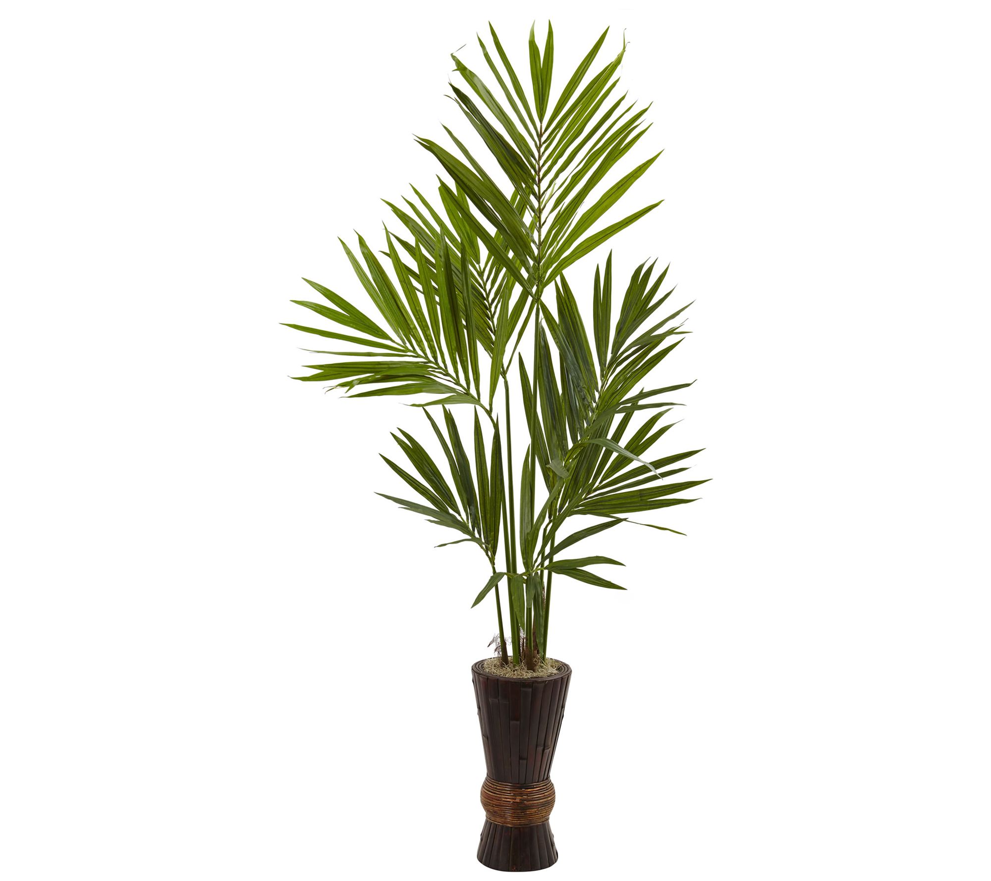 6' Kentia Tree with Bamboo Planter by Nearly Natural