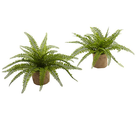Boston Fern with Burlap Planter Set of 2 by Nearly Natural