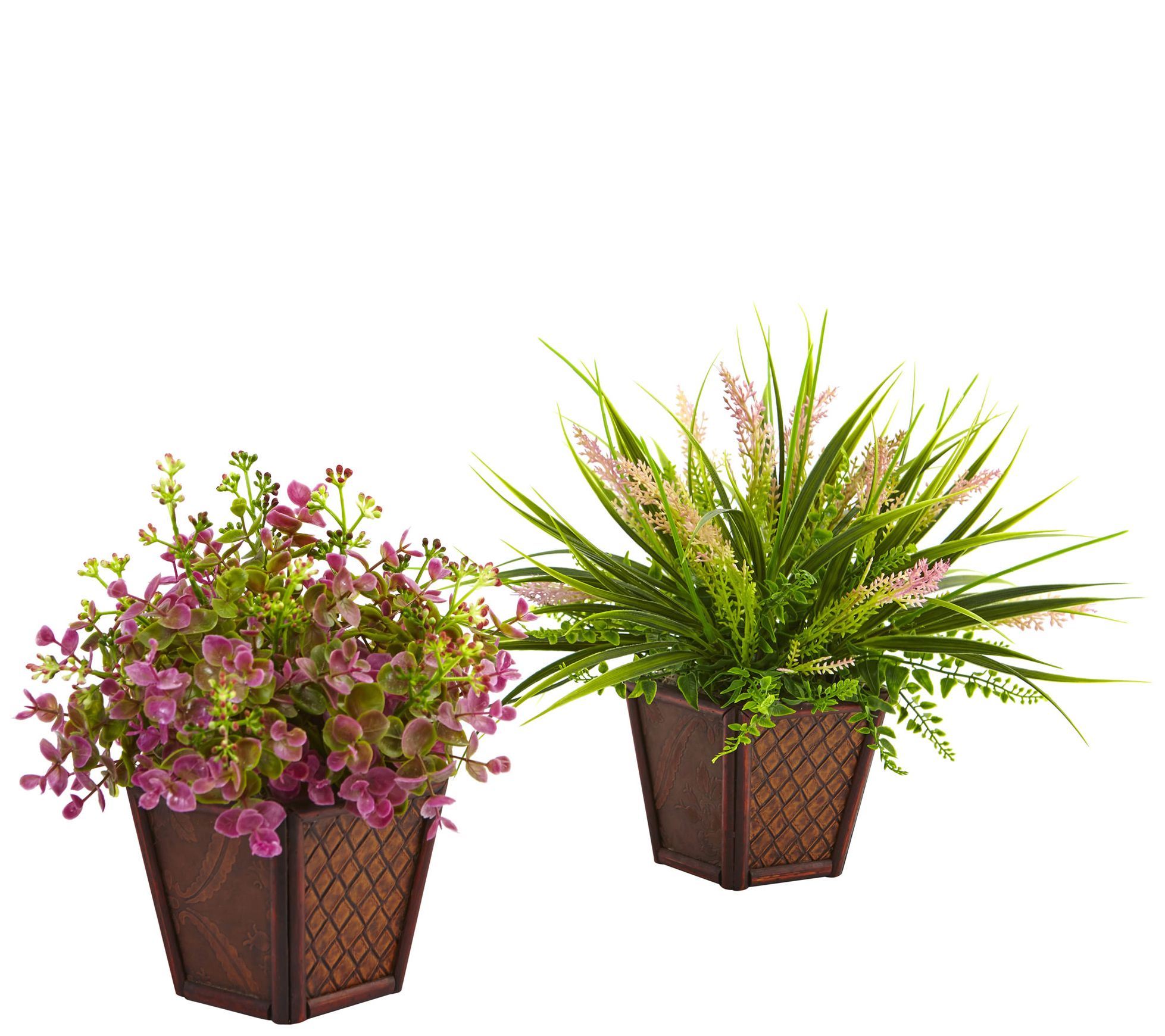 Assorted Grass with Planter Set of 2 by NearlyNatural
