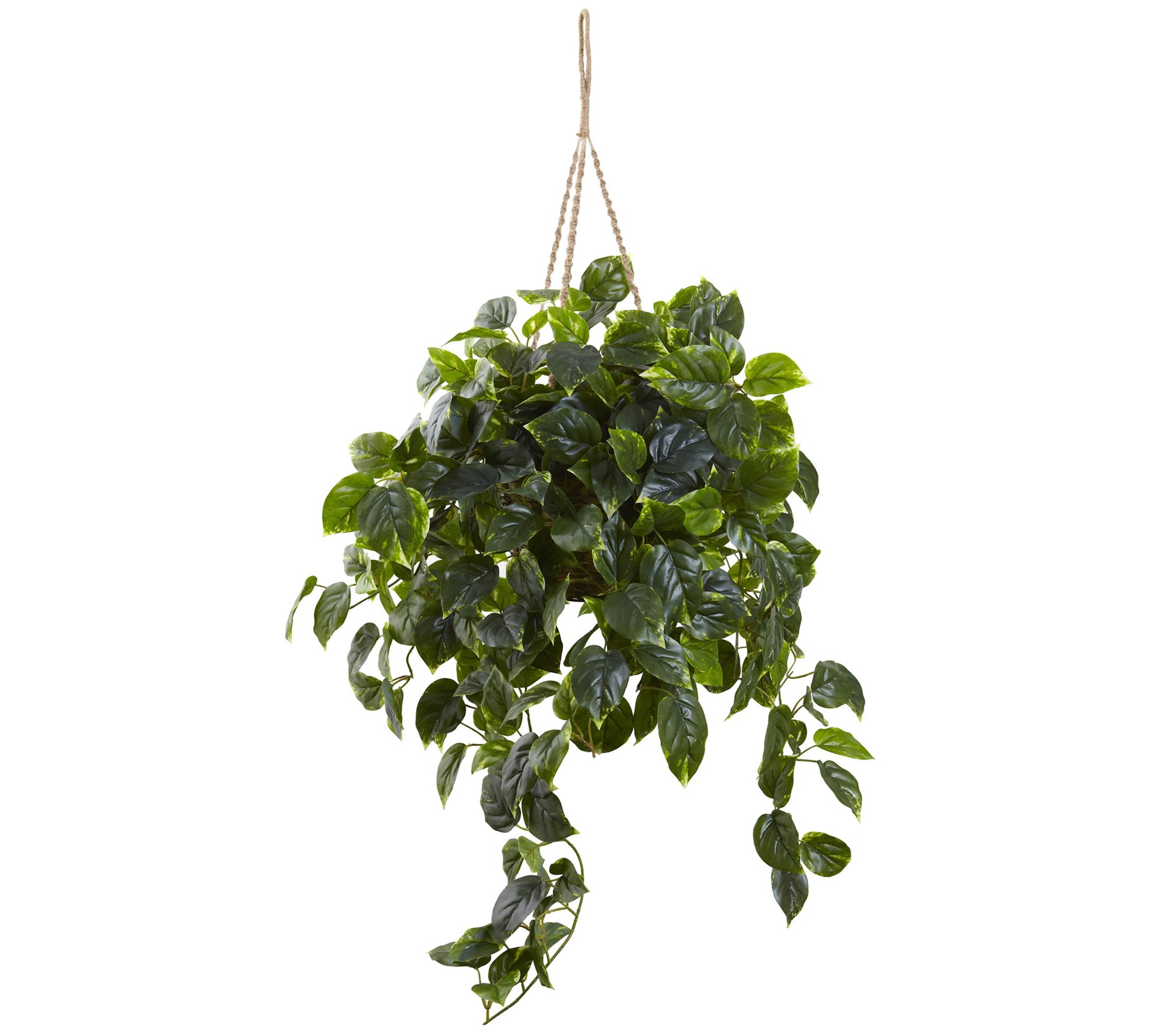 Nearly Natural Pothos Ledge Plant (Set on Foam) Silk Plant