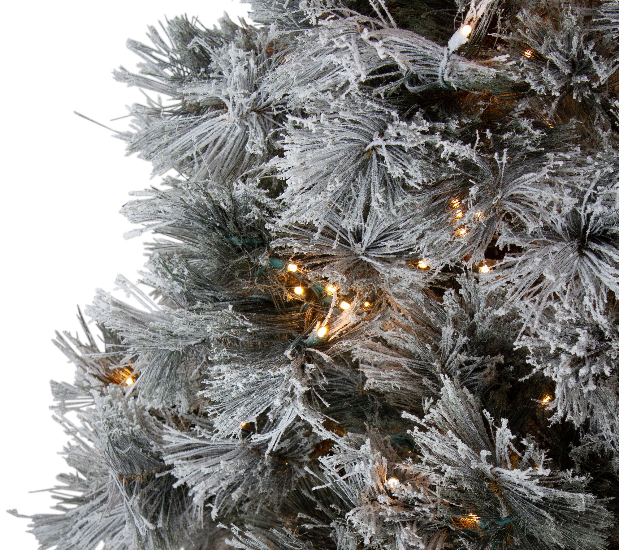 Northlight 7.5' LED Black Spruce Artificial Tree Clear Lights - QVC.com