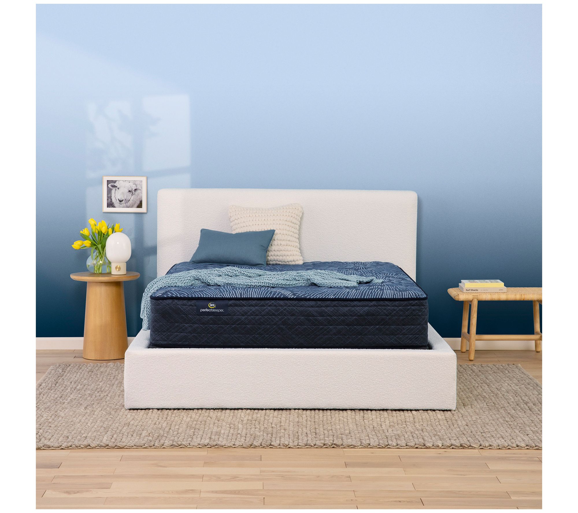 Serta Cobalt Calm 12" Extra Firm Mattress Set -Full