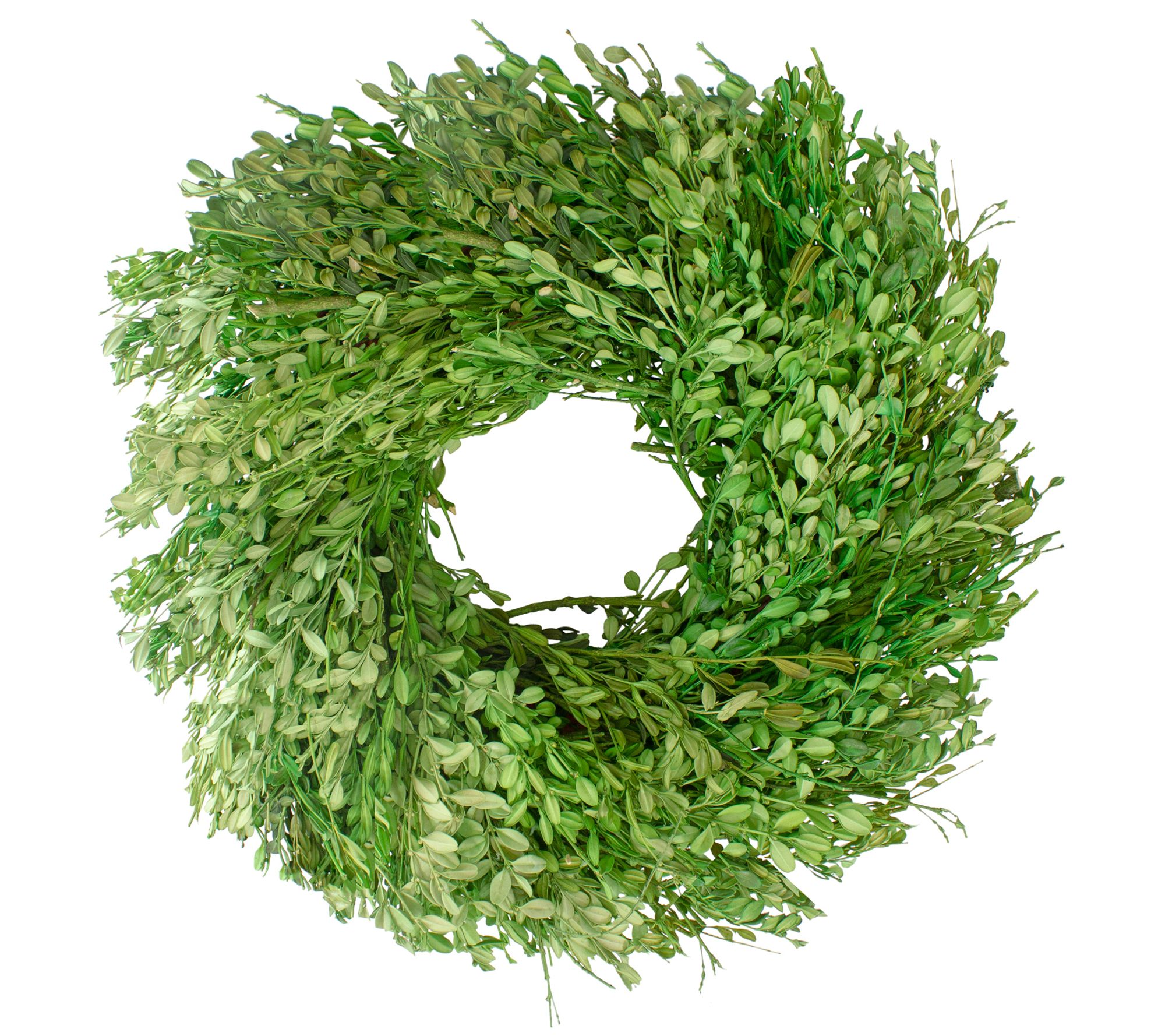 Northlight Green Foliage Artificial Spring Wrea th