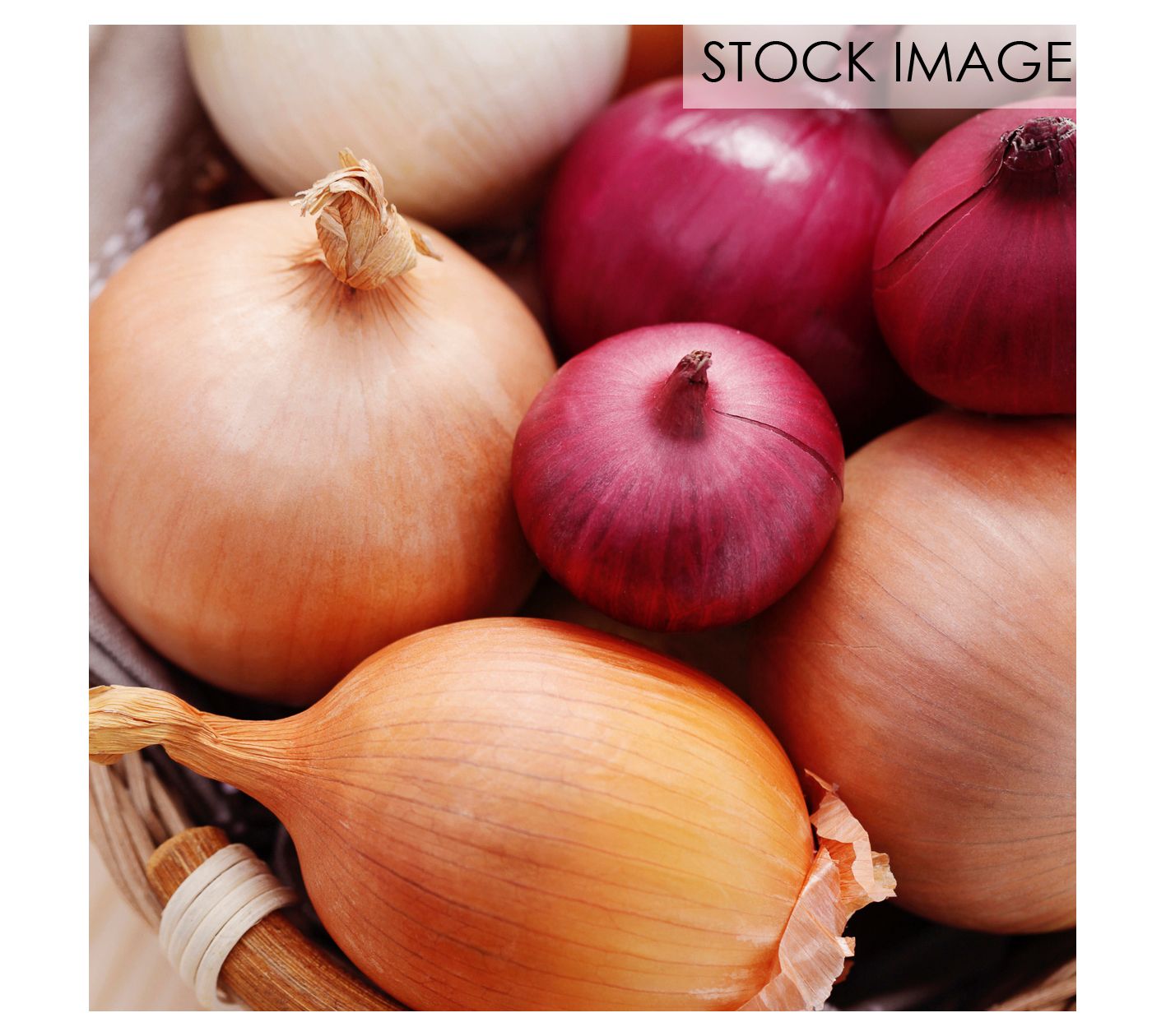 Van Zyverden Fresh Crop Onion Blend Set of 250Bulbs