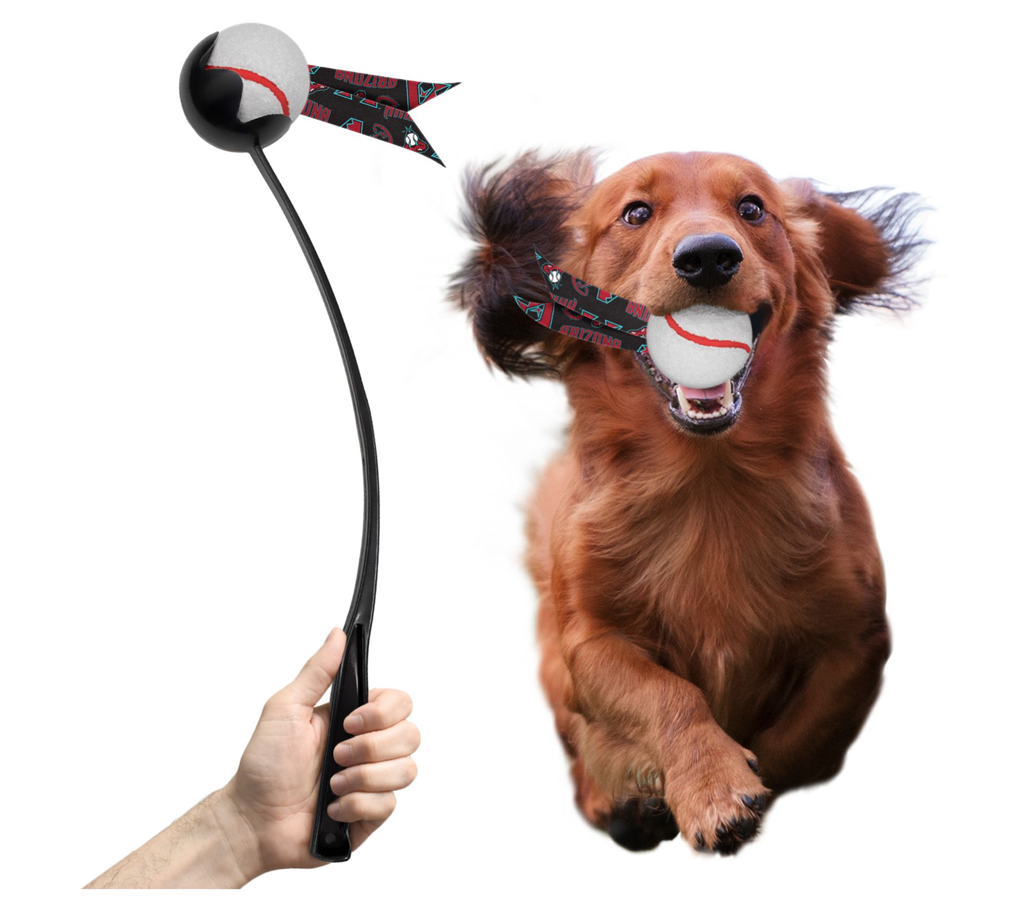Littlearth MLB Pet Ball Launcher