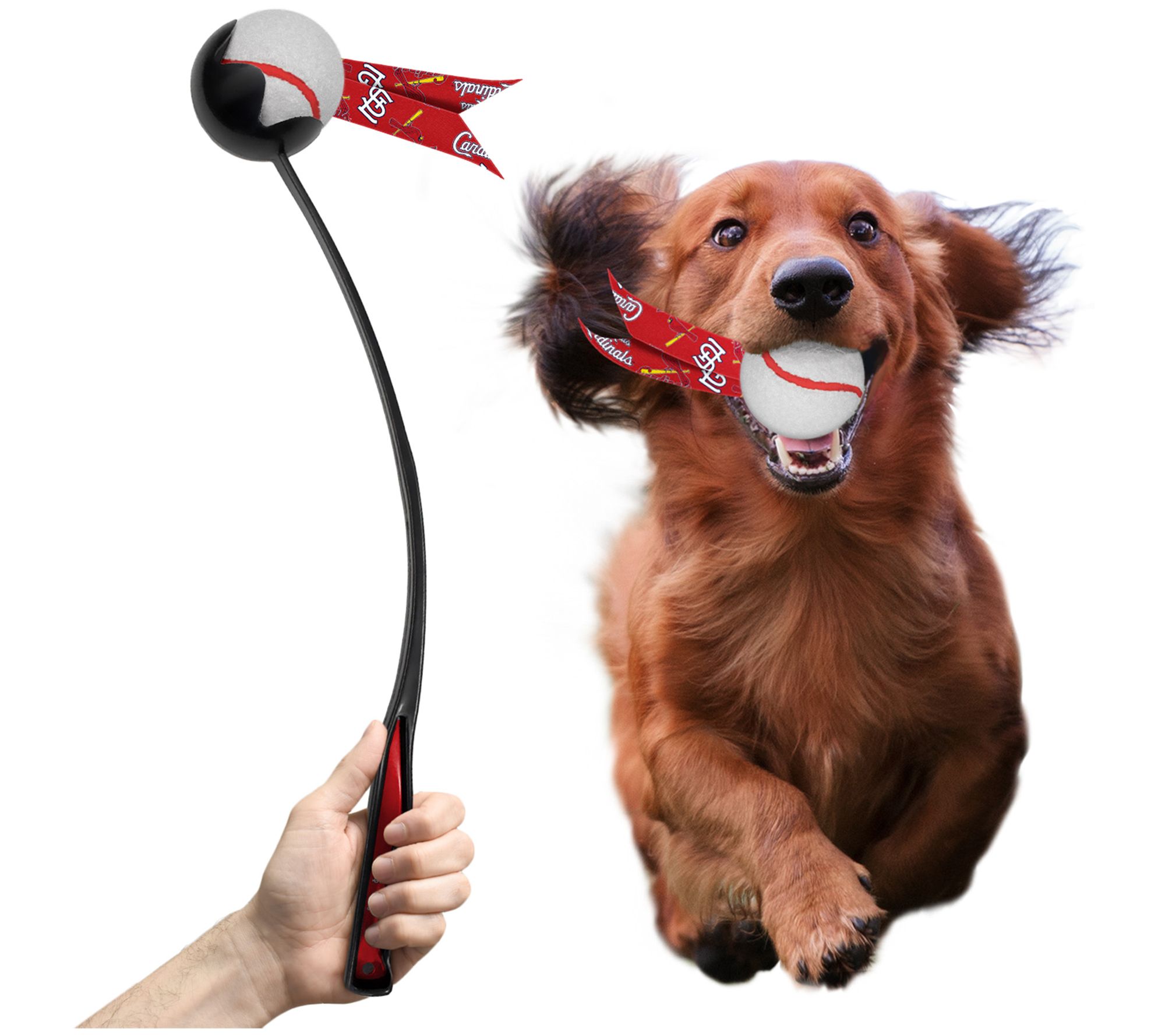 Littlearth MLB Pet Ball Launcher