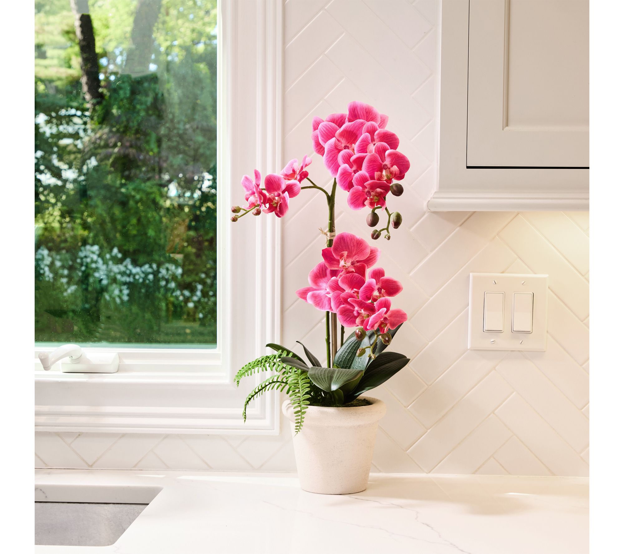 23" Phalaenopsis In Terracota Pot By Valerie