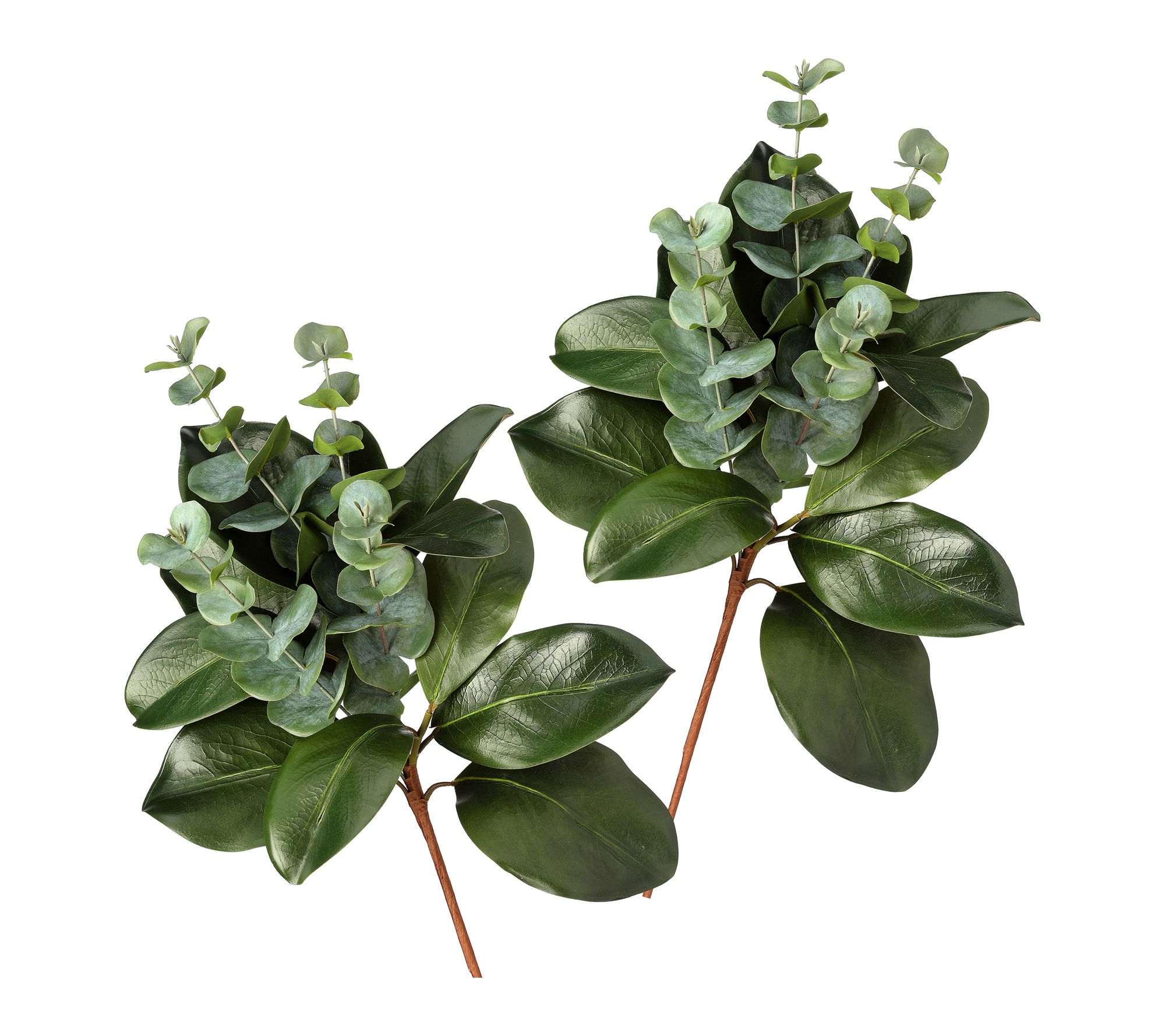 20" Southern Magnolia Eucalyptus Spray Set of 2 by Valerie
