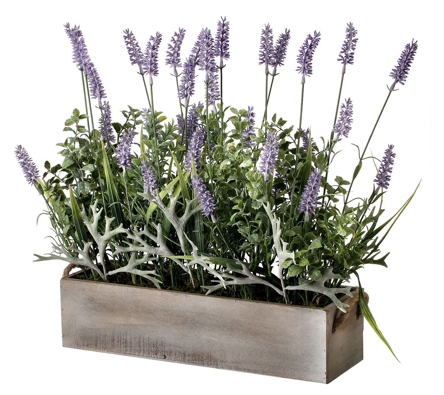 Lavender In Wood Ledge Box 18" L by Valerie