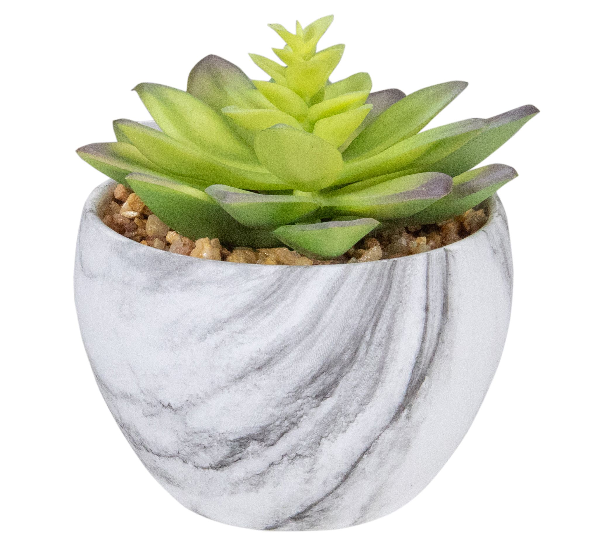Northlight 4" Artificial Succulent in Faux Marble Pot