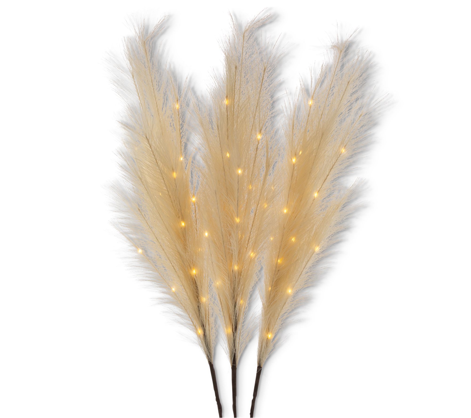 Mid Century Modern Beige Boho Lights Pampas Grass by Gerson Co