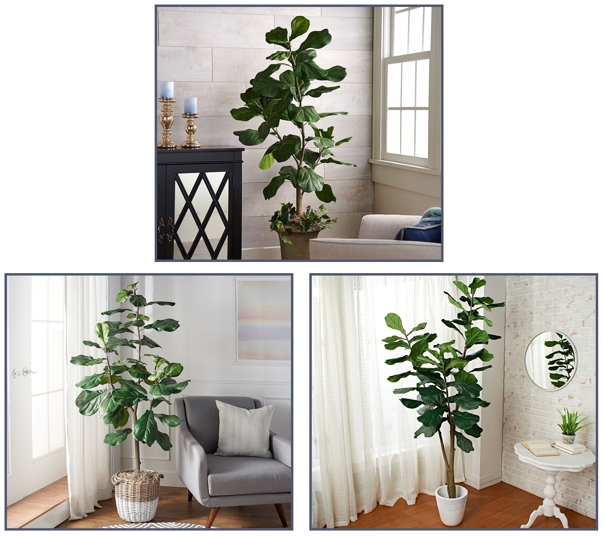 Faux Fiddle Leaf Tree in Starter Pot By Valerie