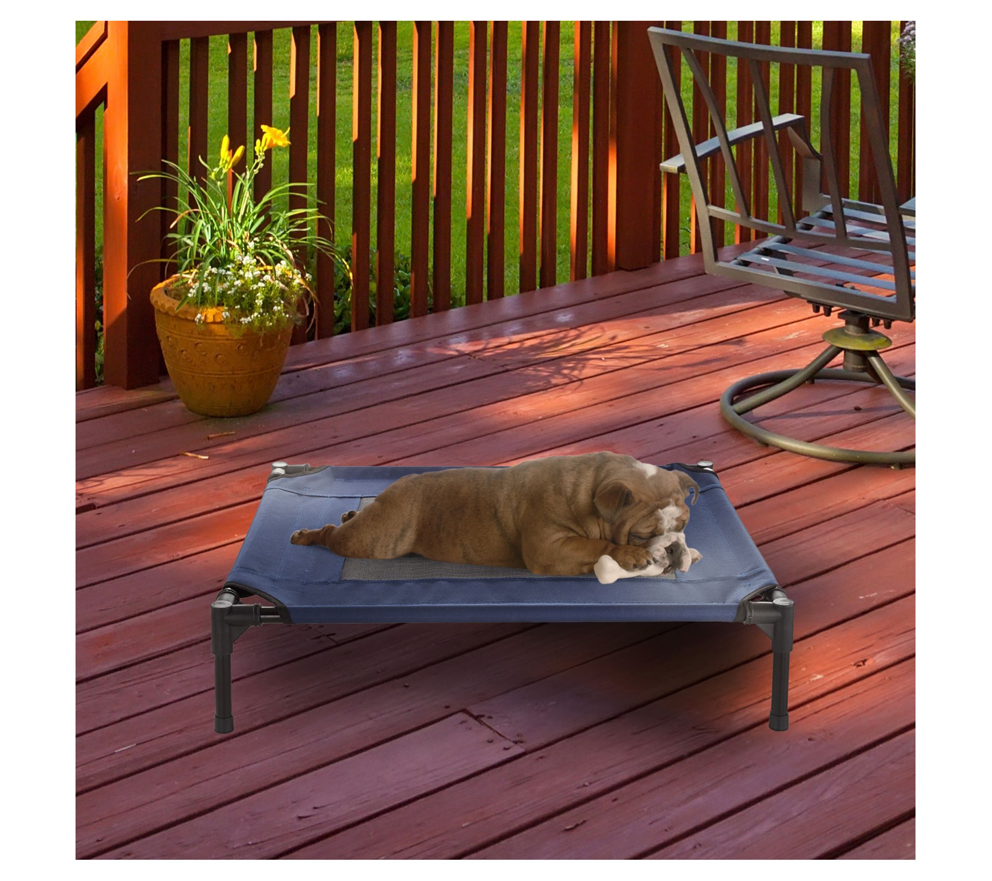 Elevated Dog Bed 30 x 24 Portable Pet Bed with-Slip Feet