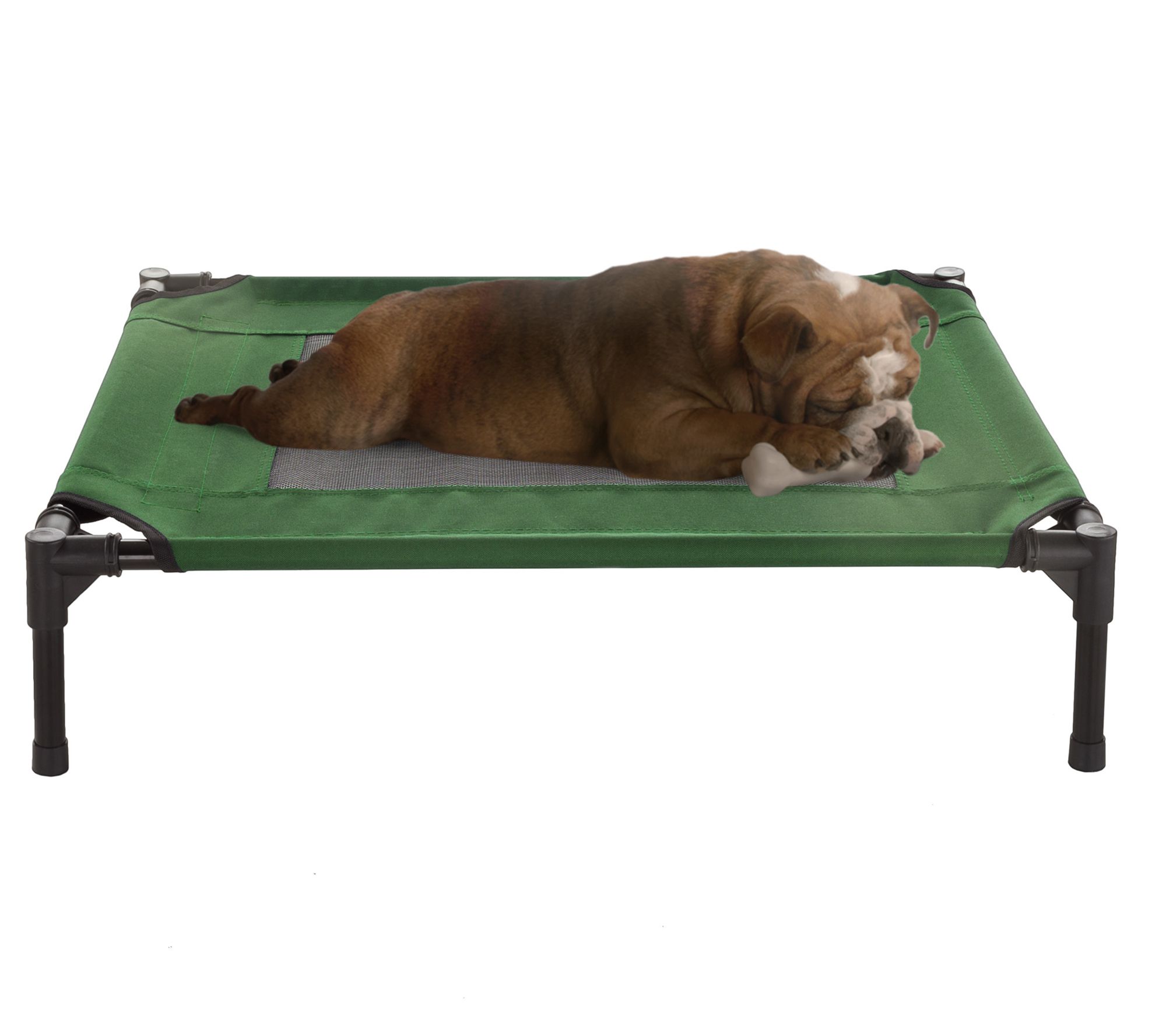 Elevated Dog Be d 30 x 24 Porta ble Pet Bed wit h Non-Slip Feet