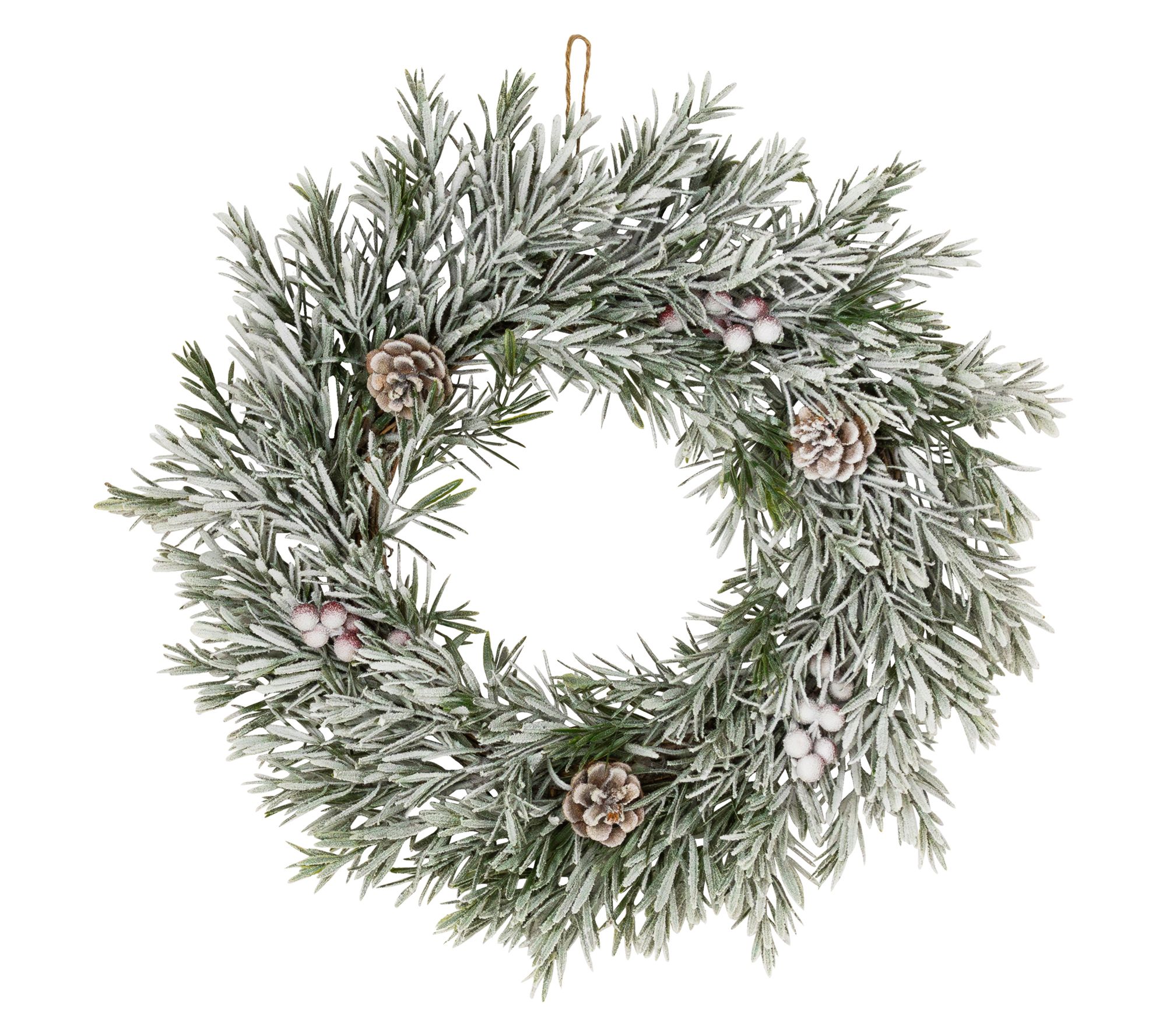 Northlight Flocked Pine Christmas Wreath 20" Unlit