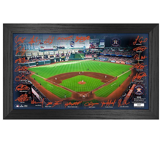 MLB Signature Field Frame