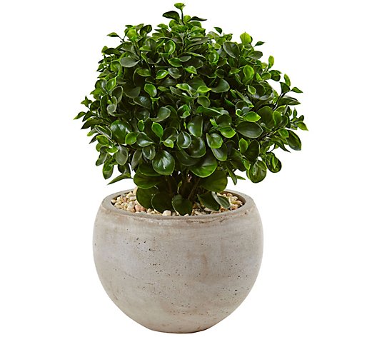 2' Eucalyptus in Bowl UV-Resistant by Nearly Natural