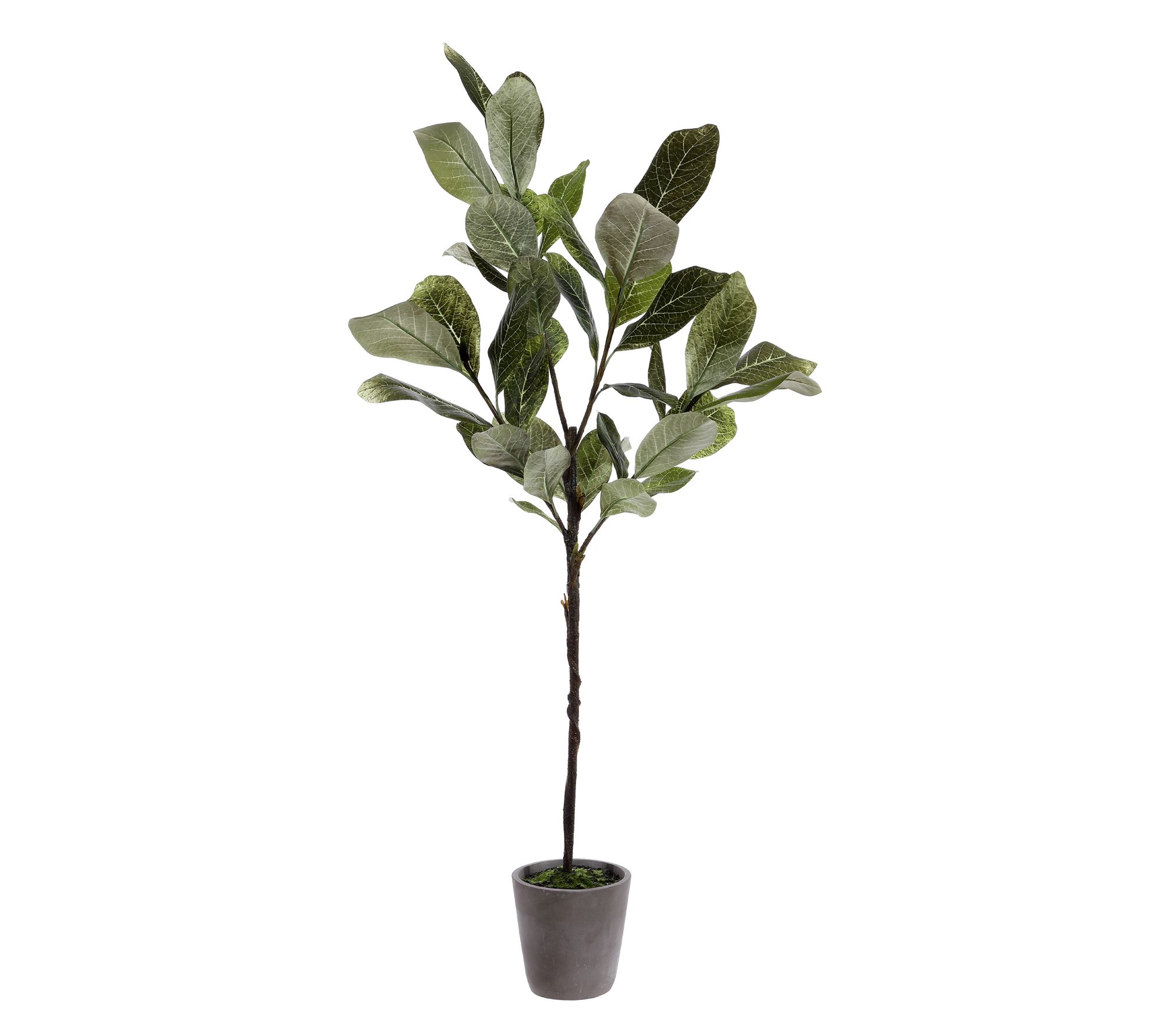Safavieh Faux Magnolia Potted Tree