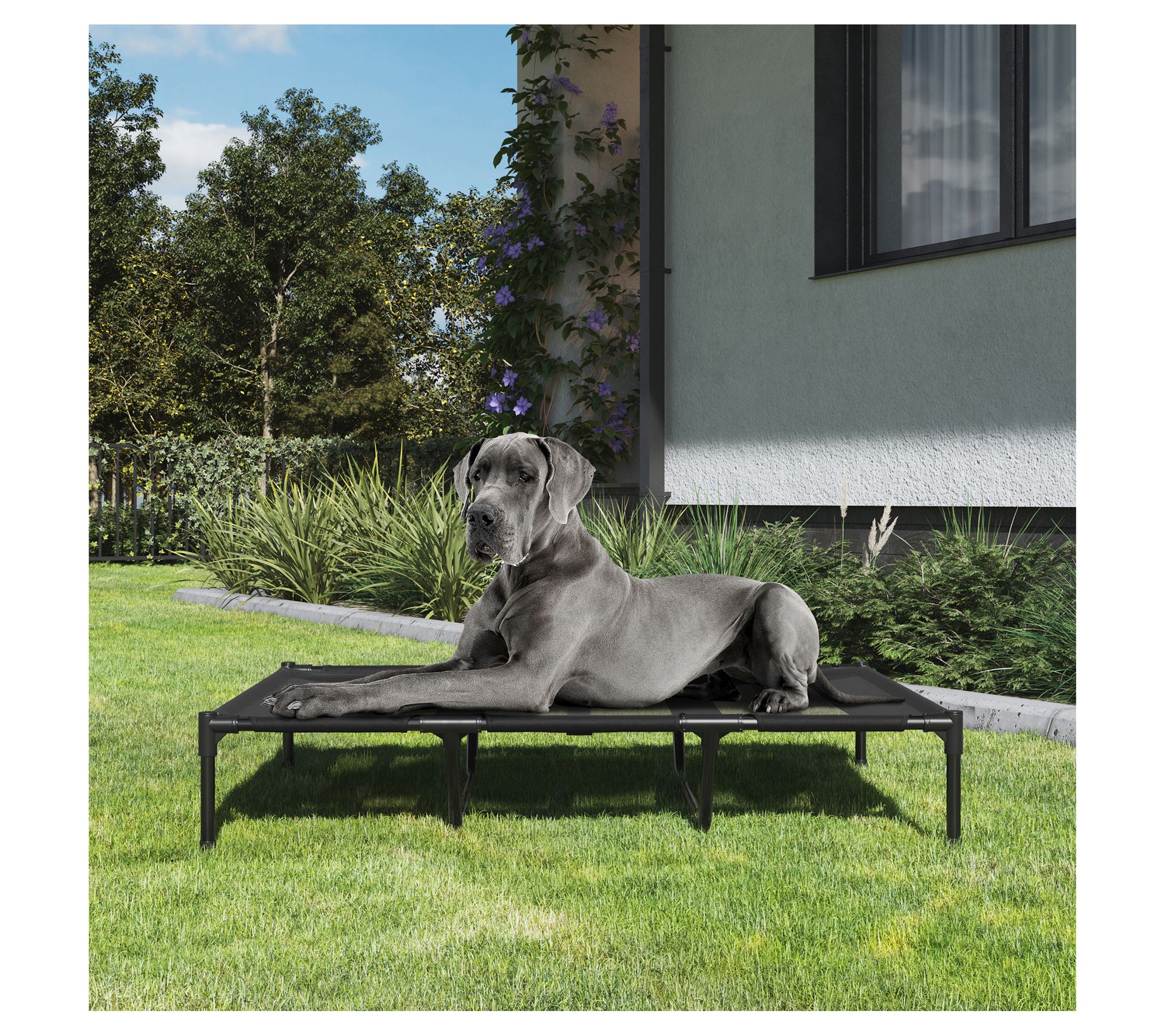 Elevated Dog Bed 48 x 35 Portable Pet Bed withn-Slip Feet