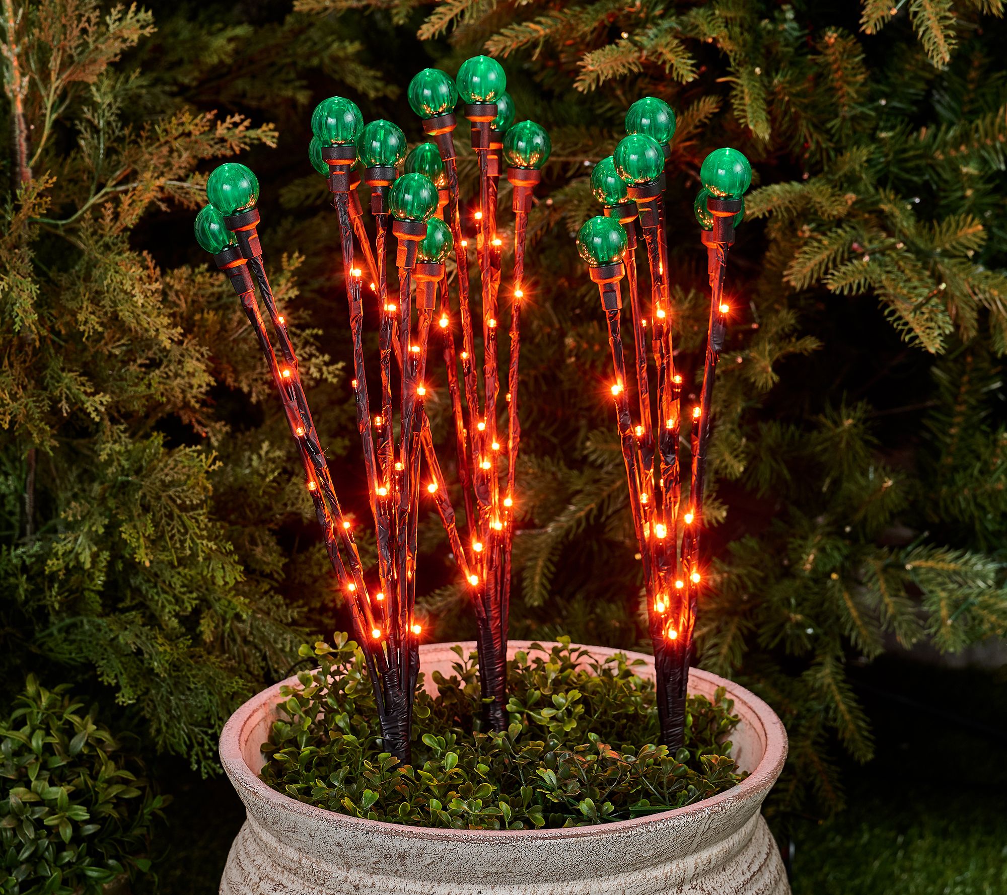 Martha Stewart Set of 3 Indoor/Outdoor Globe Light Branches