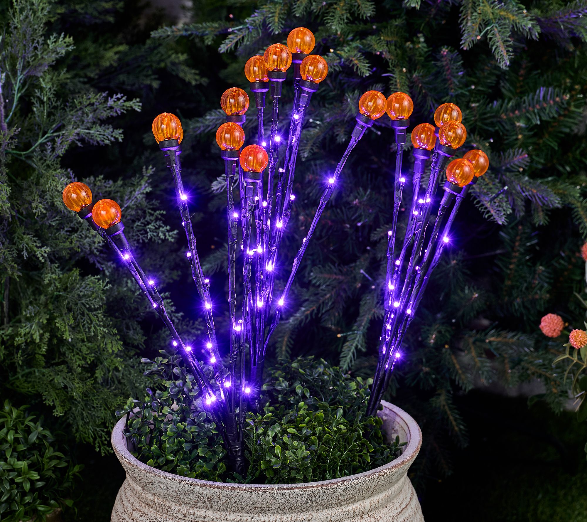 Martha Stewart Set of 3 Indoor/Outdoor Globe Light Branches