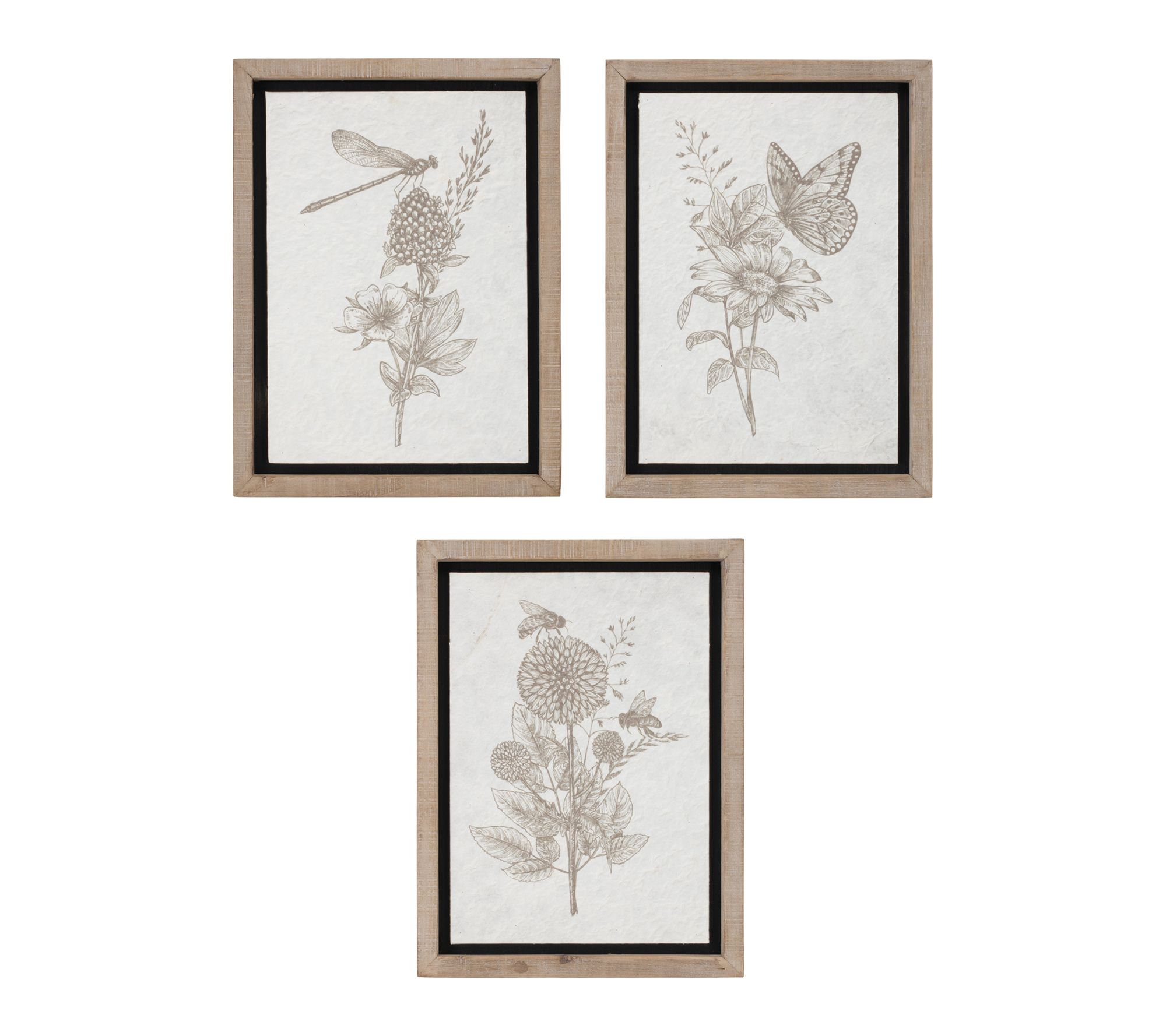 Melrose International Framed Floral Insect Print (Set of 3)