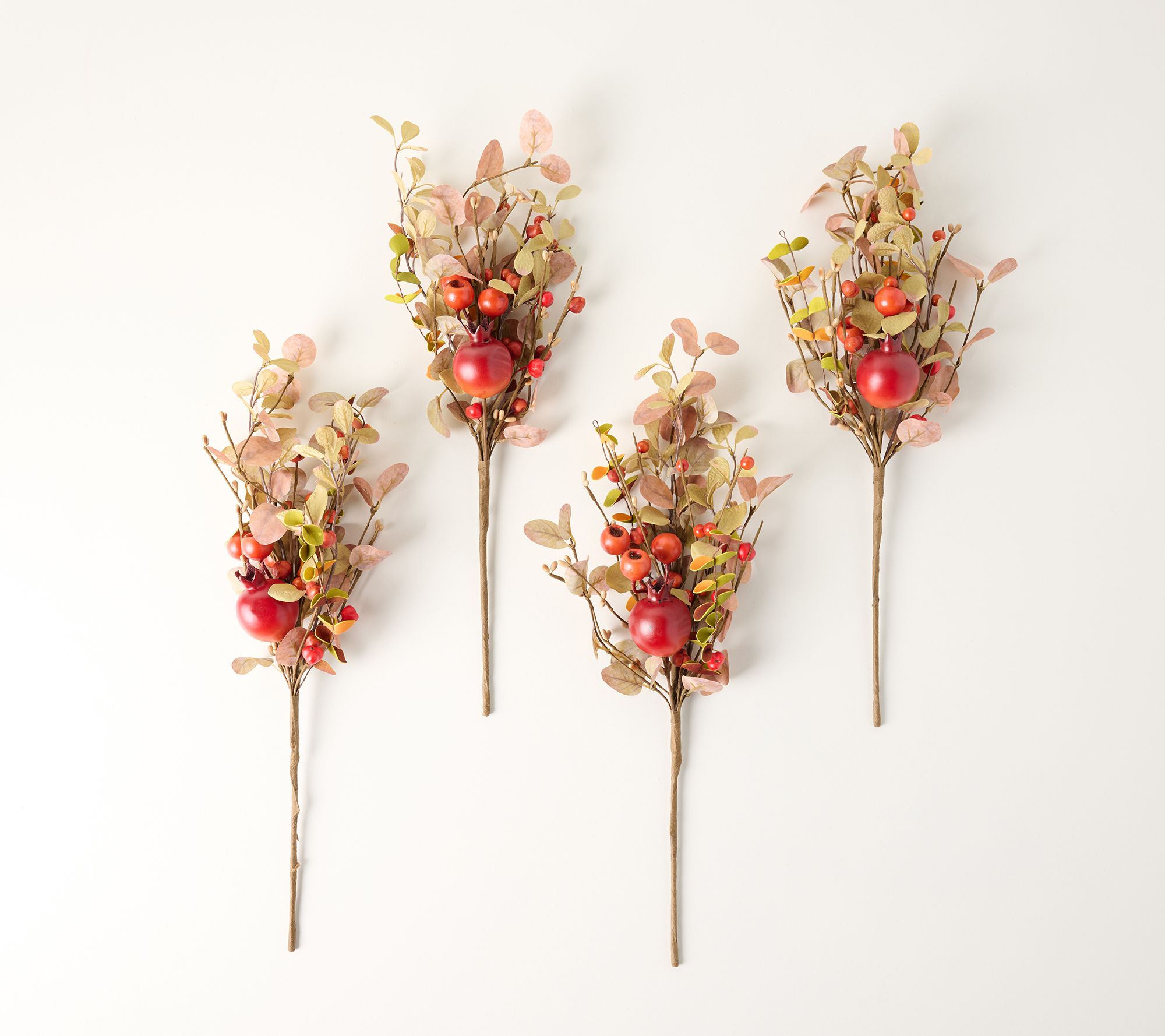 S/4 Berry, Pomegranate and Rose Hip Picks by Valerie