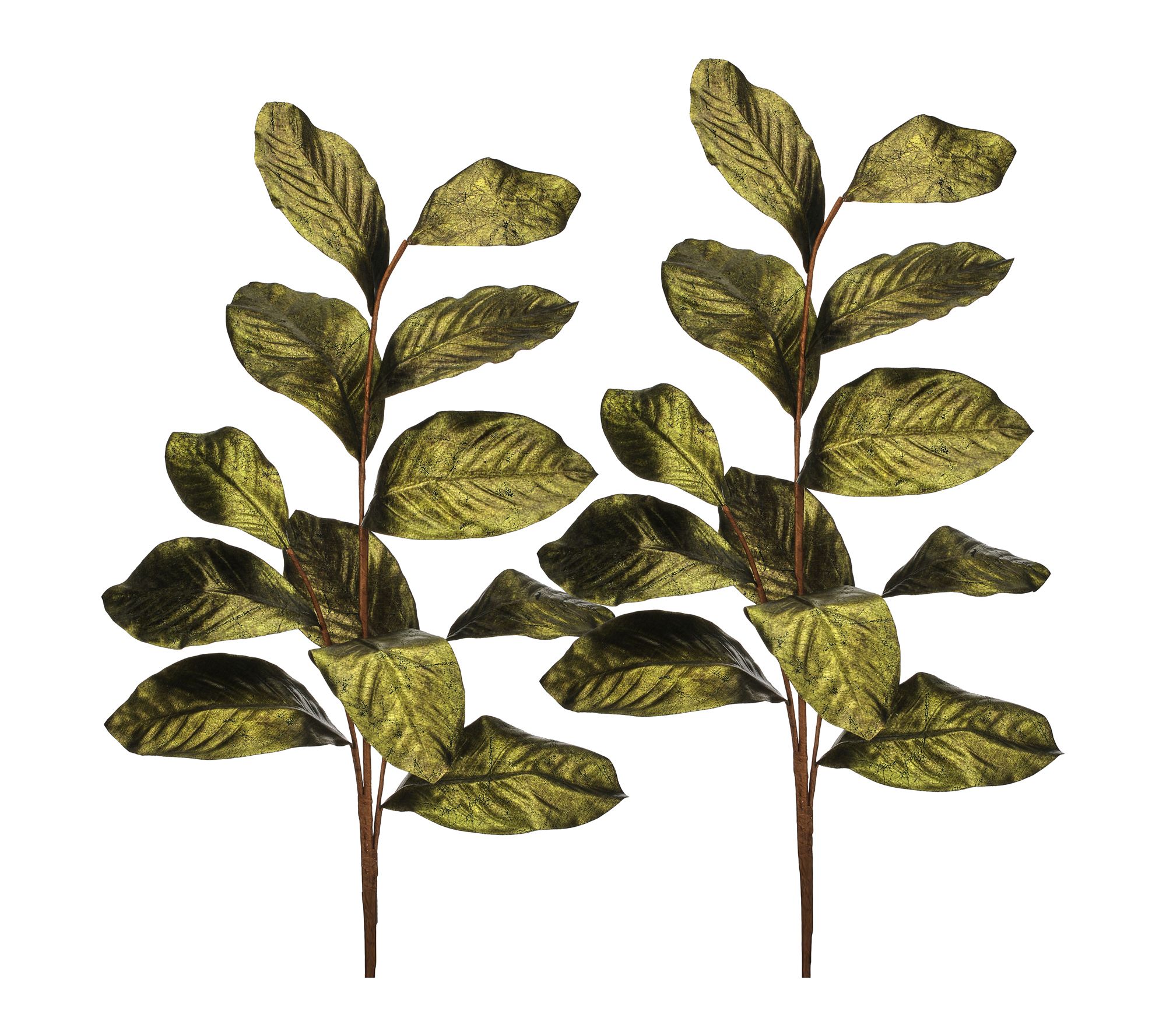 37" Gilded Magnolia Leaf Spray Set of 3 by Valerie
