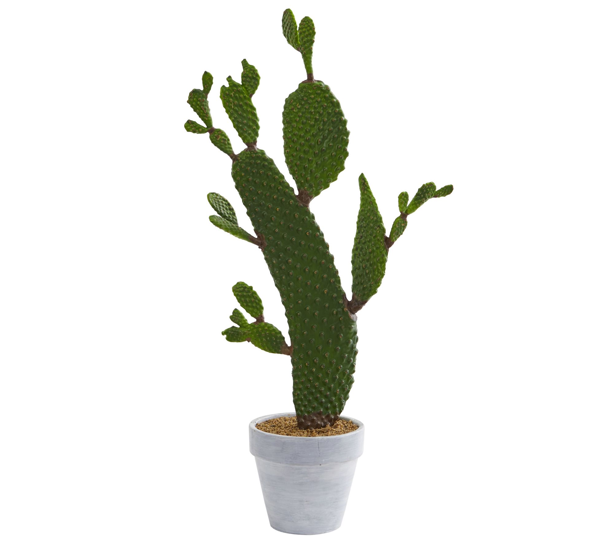 27 Artificial Cactus Plant By Nearly Natural 0146