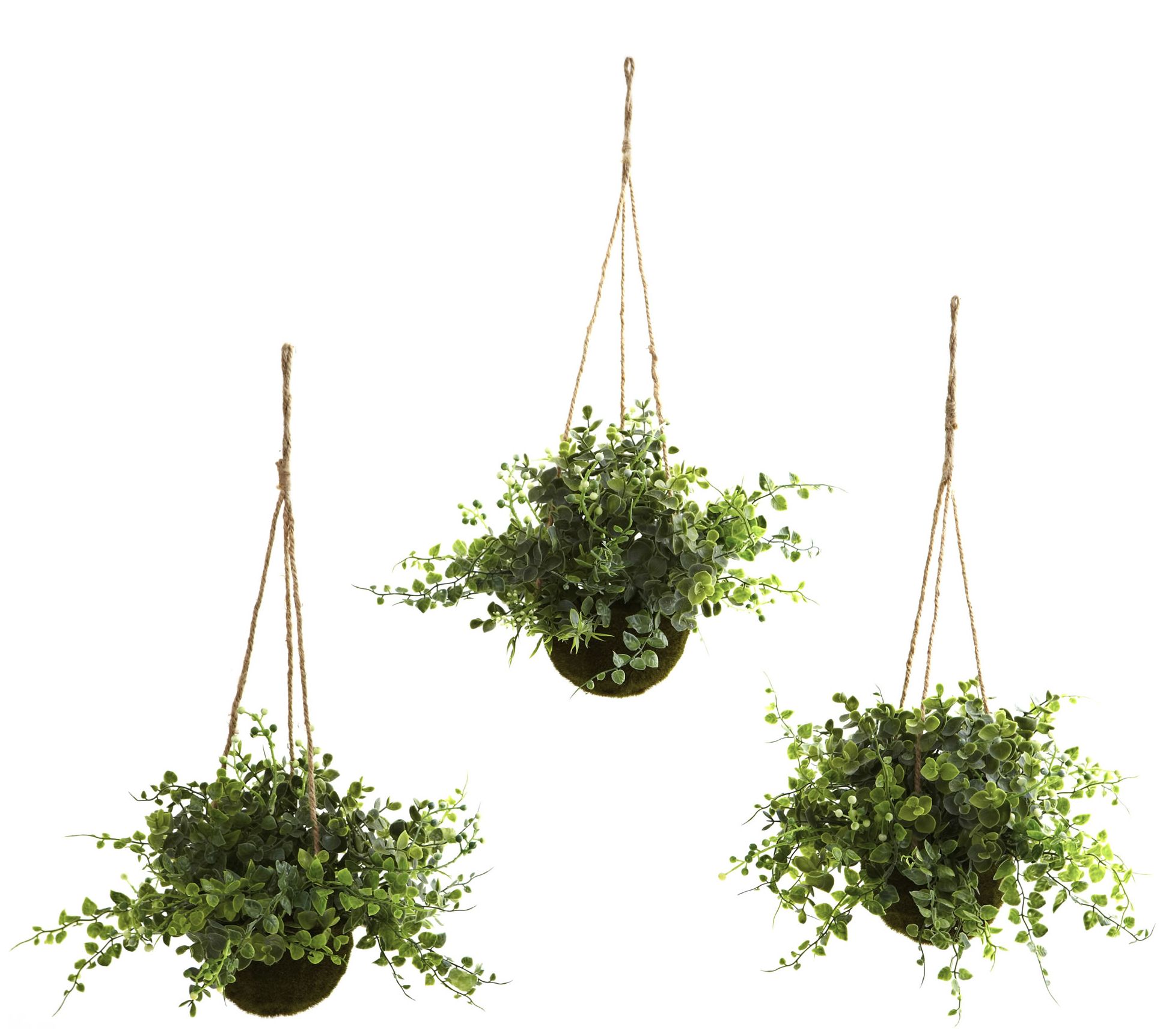 Eucalyptus Hanging Basket Set of 3 by Nearly Natural