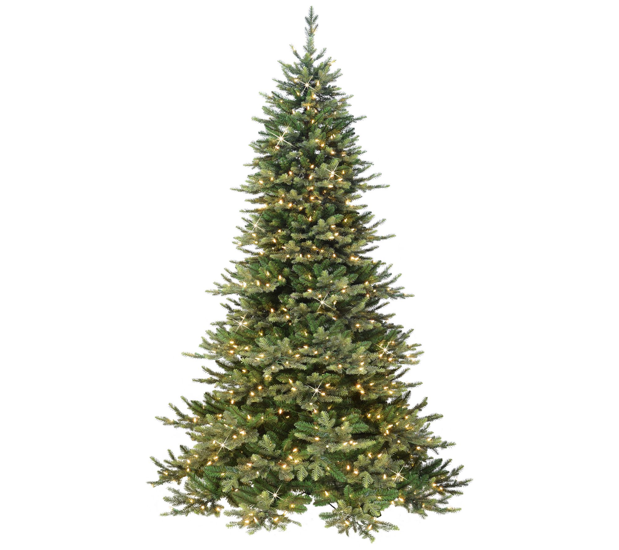 7.5 Royal Majestic Douglas Fir Downswept Tree 800 Clear Light