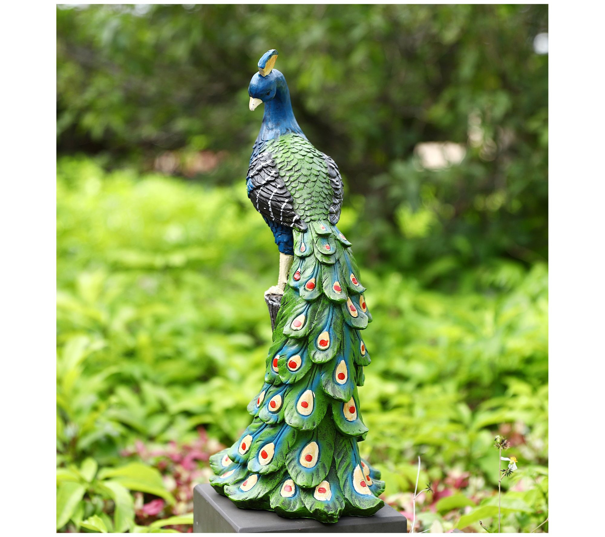 Techko Peaceful Peacock Statue with Solar Spotlight - QVC.com