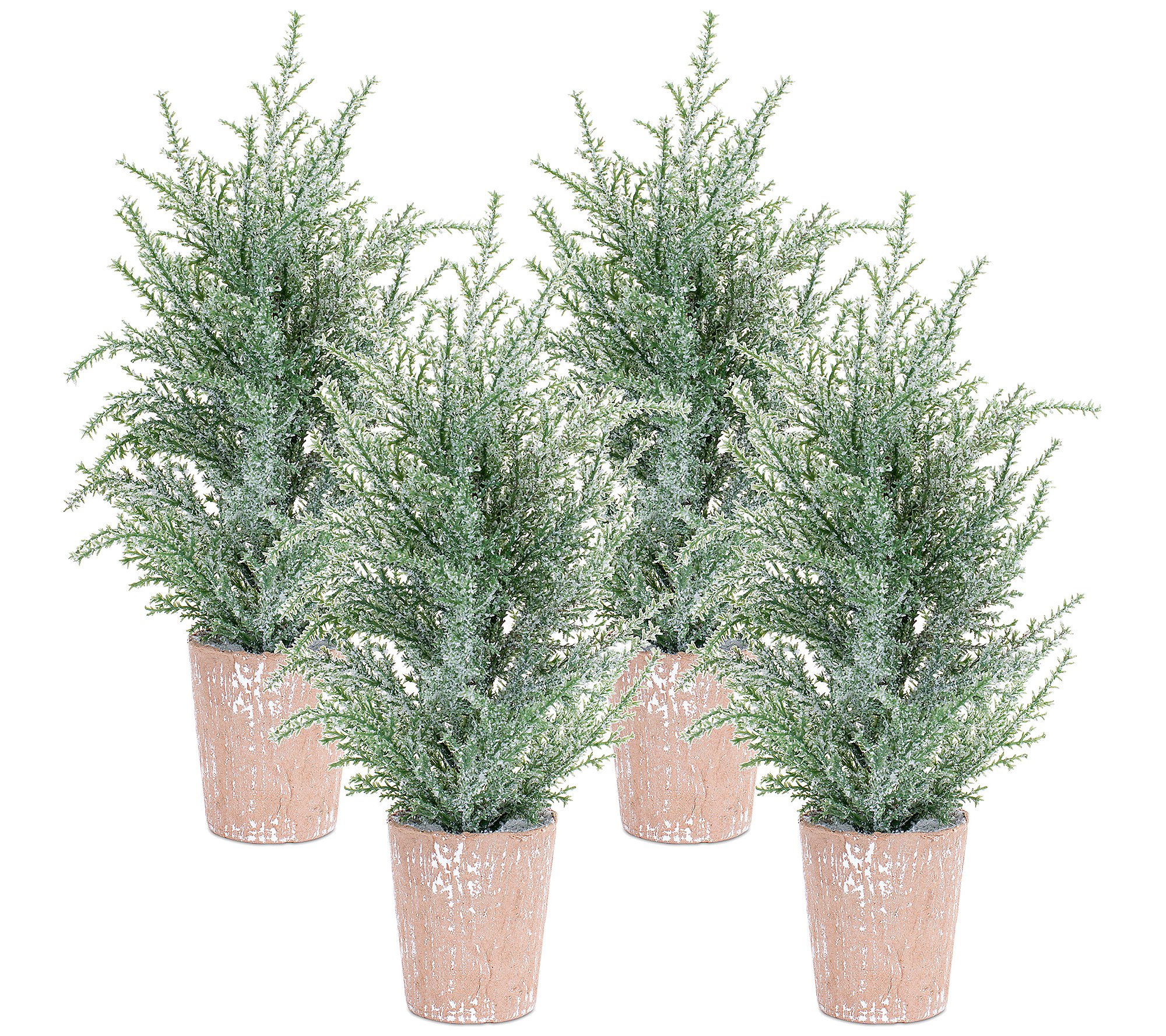 Melrose Frosted Holiday Pine Tree in Paper Pot Set of 4)