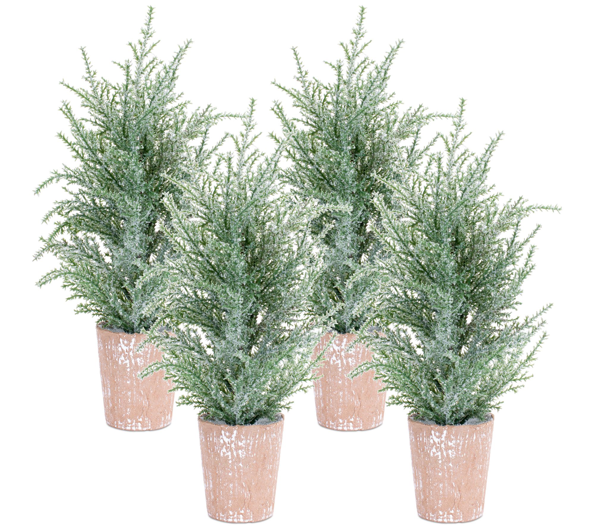 Melrose Frosted Holiday Pine Tree in Paper PotSet of 4)