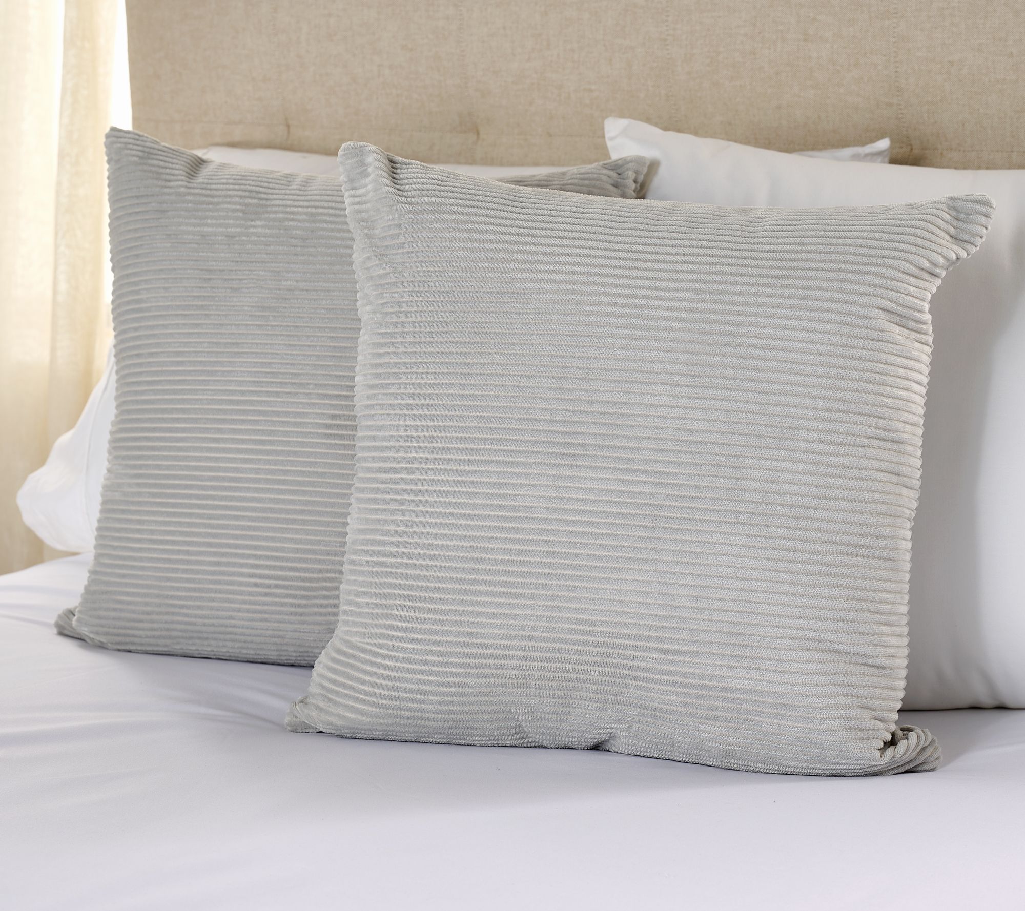  Home Reflections S/2 Ribbed Velvet 18x18 Dec Pillows