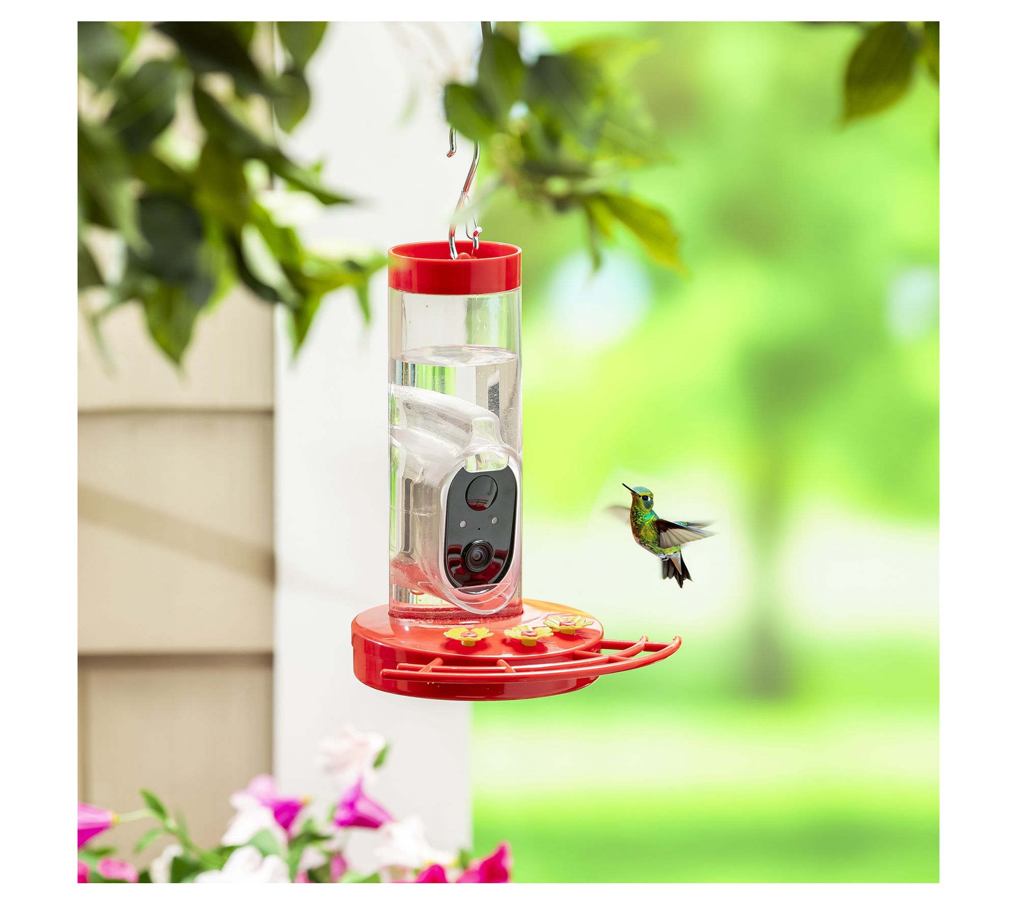 Evergreen LED Smart Hummingbird Feeder with Cam era