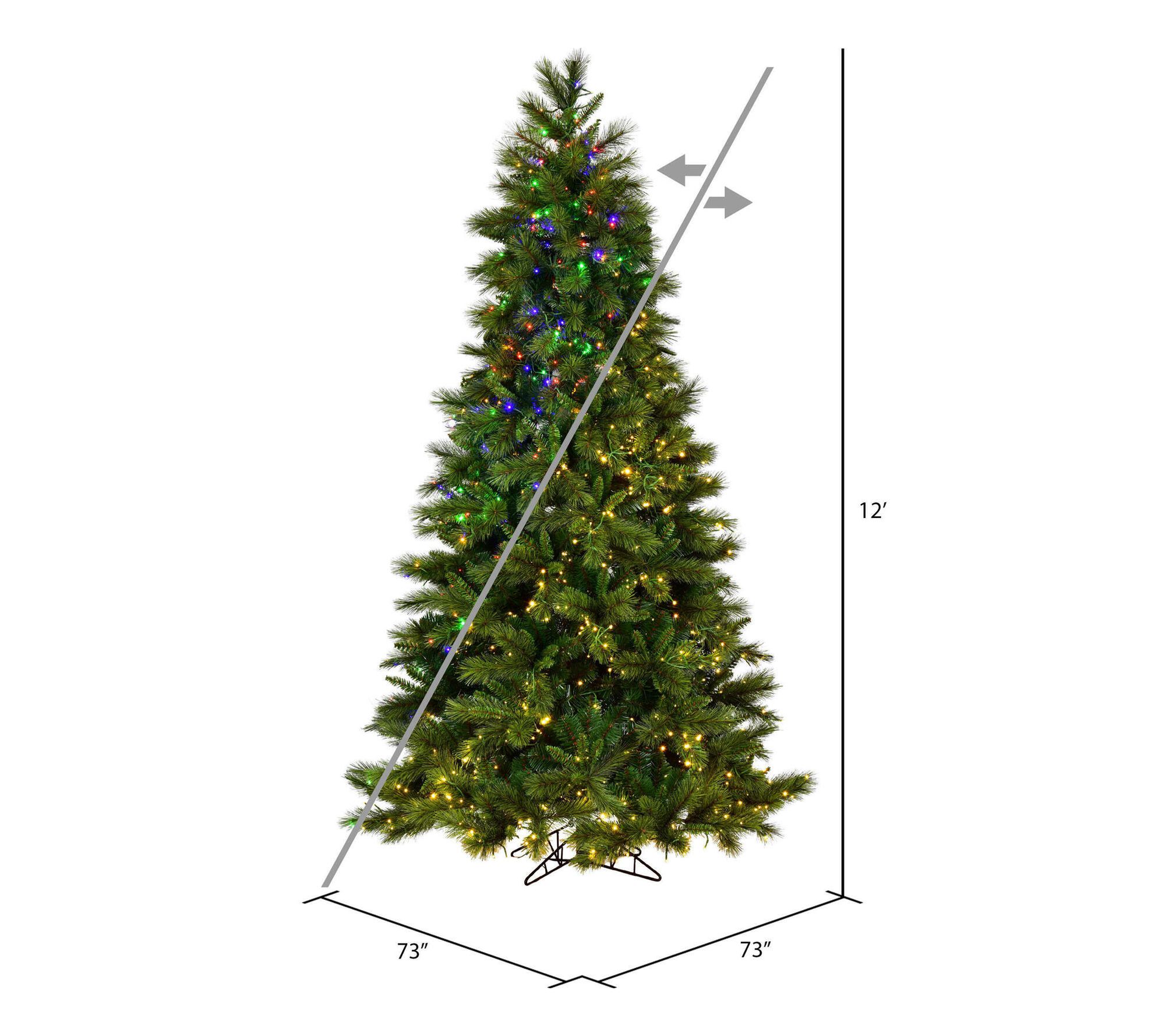 Vickerman 12' x 73" Brighton 3mm LED 3200CC