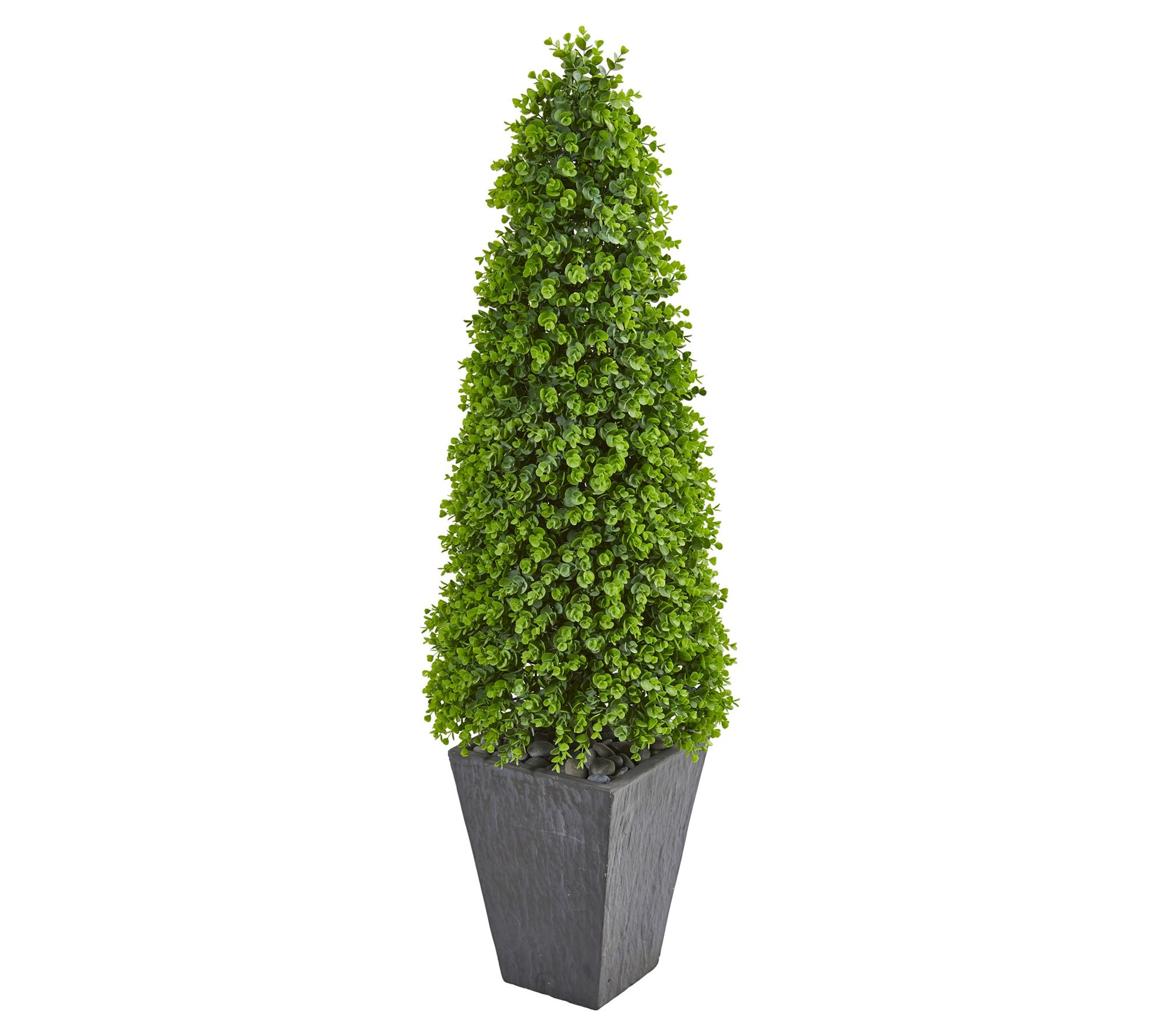 57in.  Eucalyptus Topiary in Slate Planter (Indoor/Outdoor)