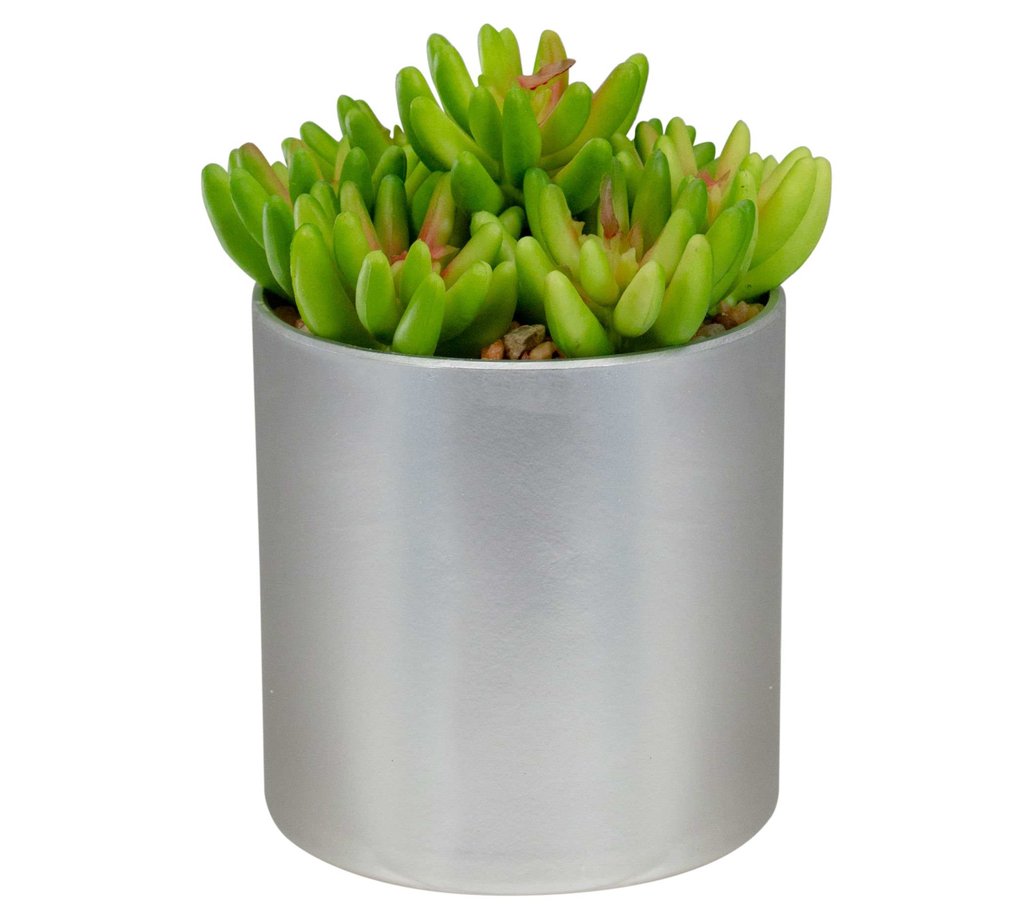 Northlight 4.75" Potted Artificial Sedum Succulent