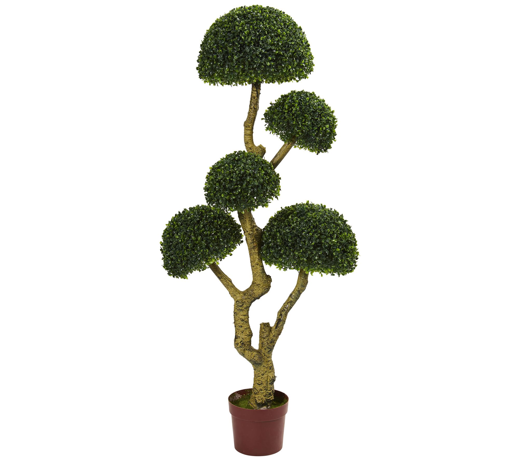 5' Five-Head Boxwood Artificial Tree by Nearly Natural