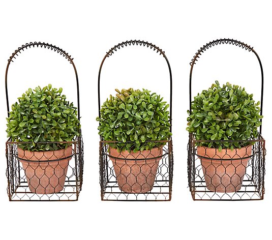 Pure Garden 3-Piece Faux Boxwood Round Topiaryin Metal Basket