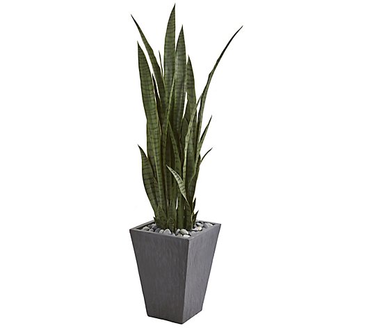 57" Sansevieria in Slate Planter by Nearly Natural