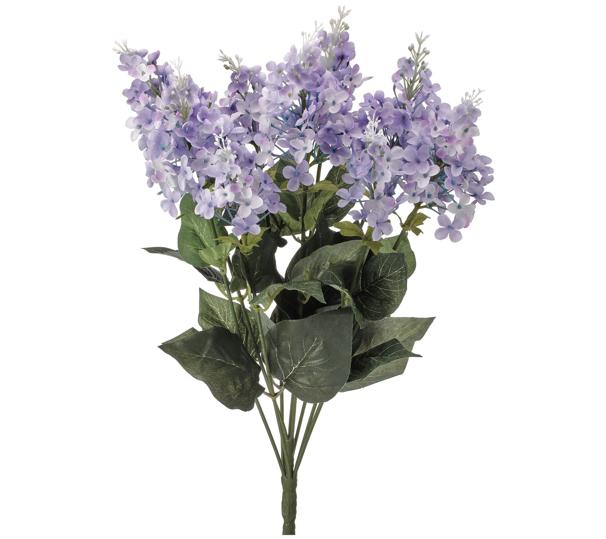 Lilac Bush 21" by Valerie