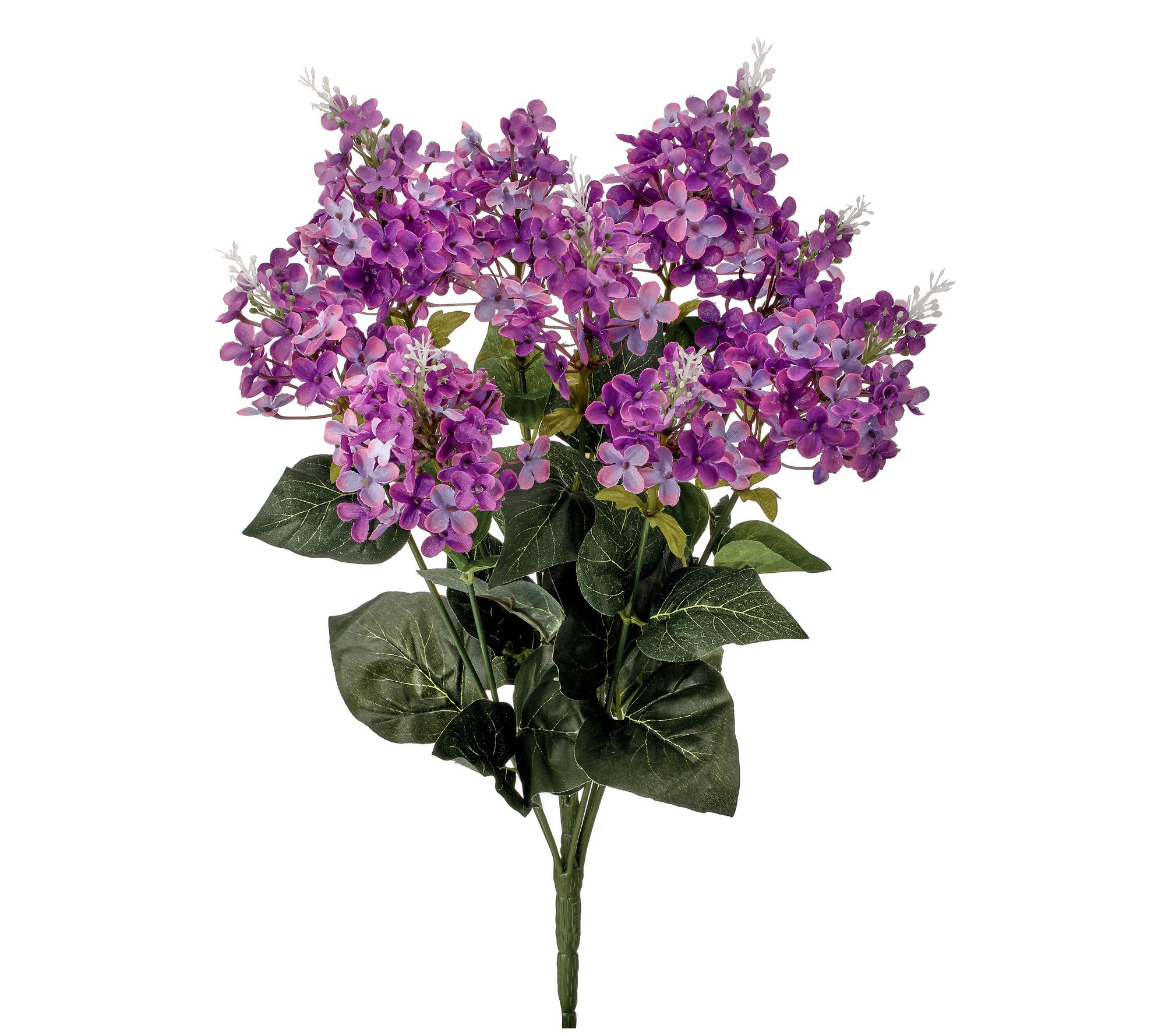 Lilac Bush 21" by Valerie