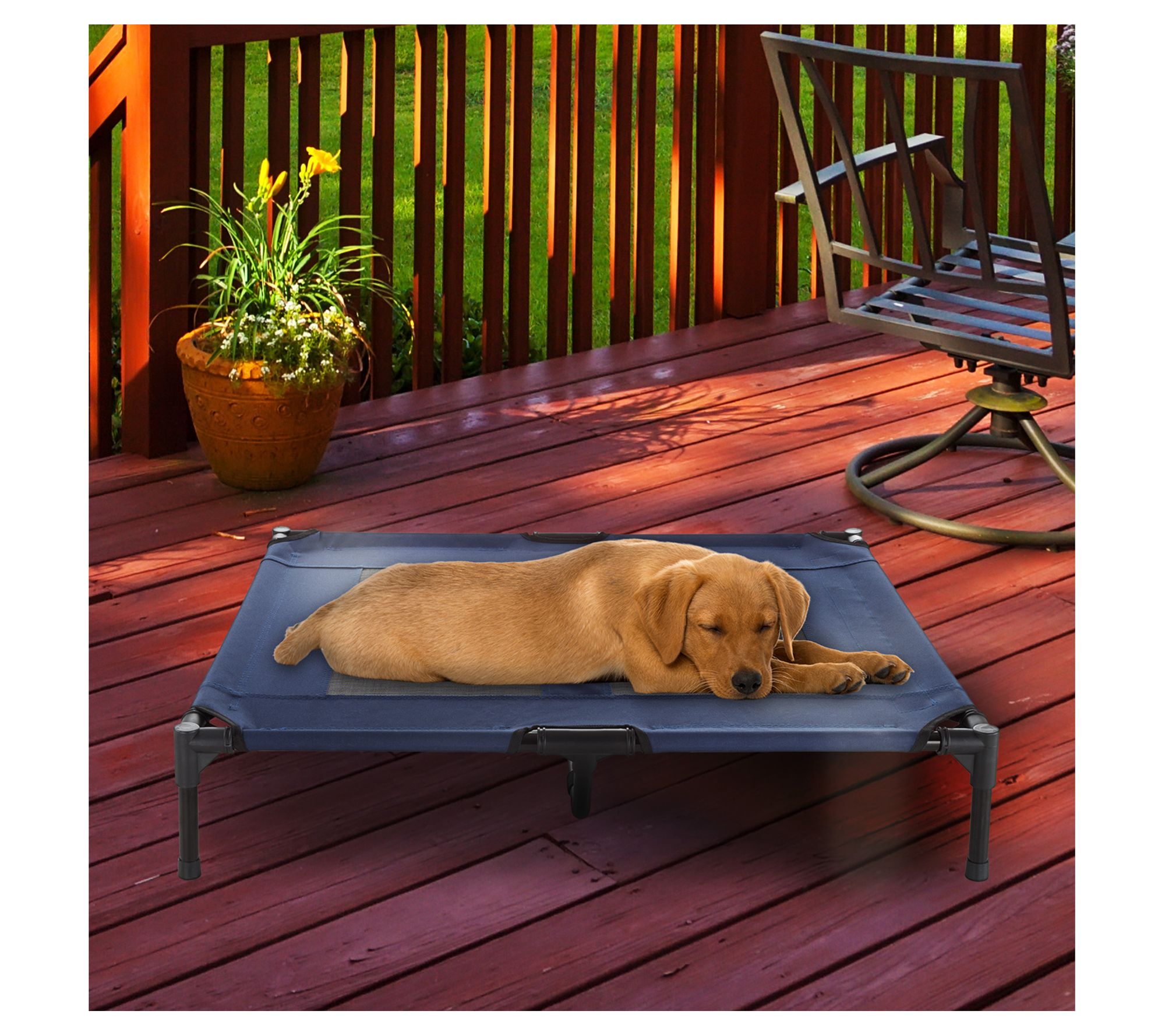 Petmaker Elevated 36 x 30 Portable Pet Bed withNon-Slip Feet